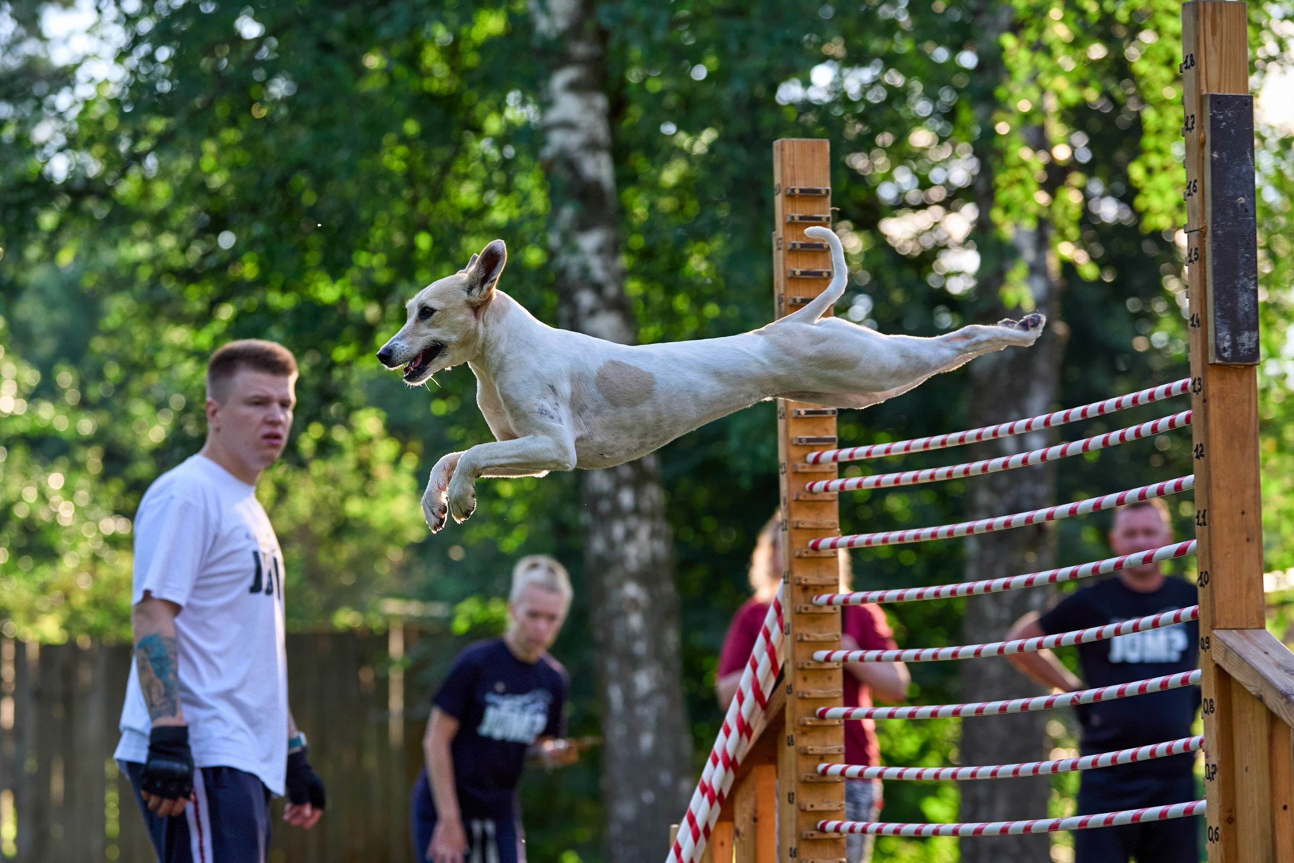 Jump'n'Gym JUMP! — 2024. Фотограф-анималист Михаил Манухин