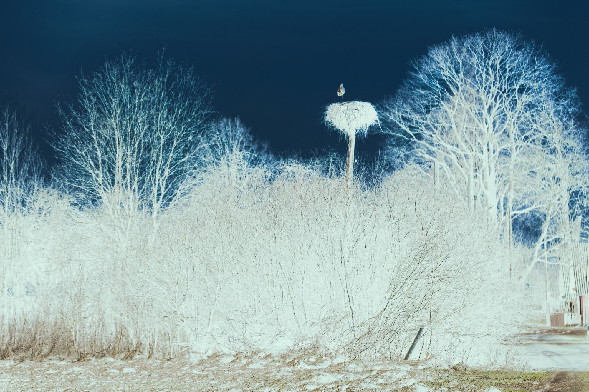 Катерина Малама арт-фотограф