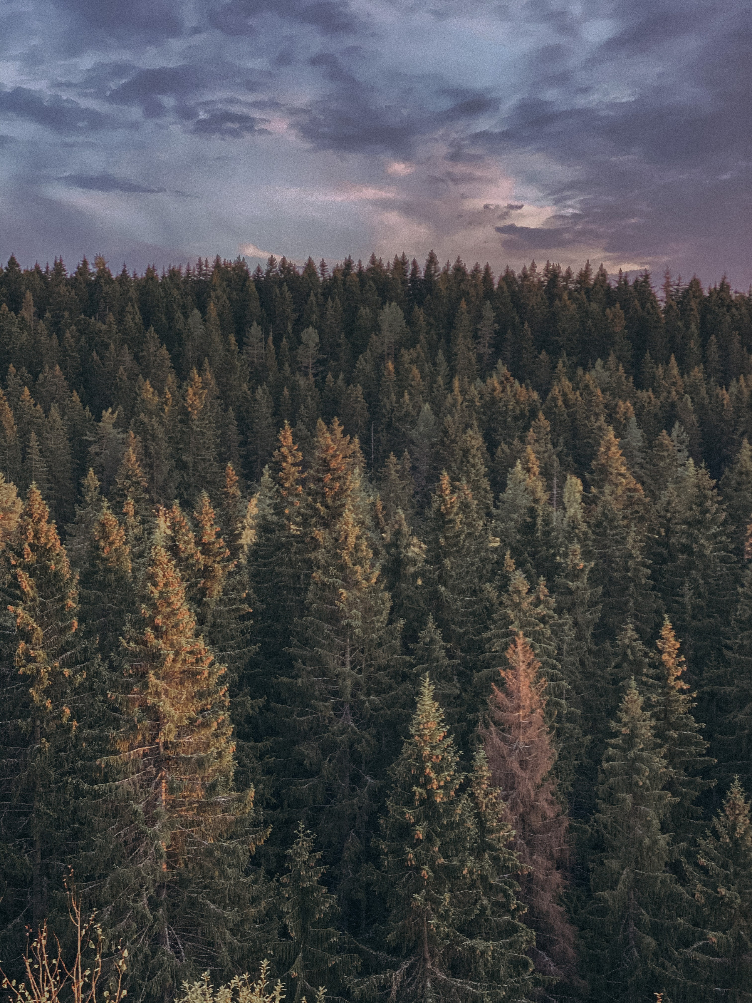 Фототур в Сортавала