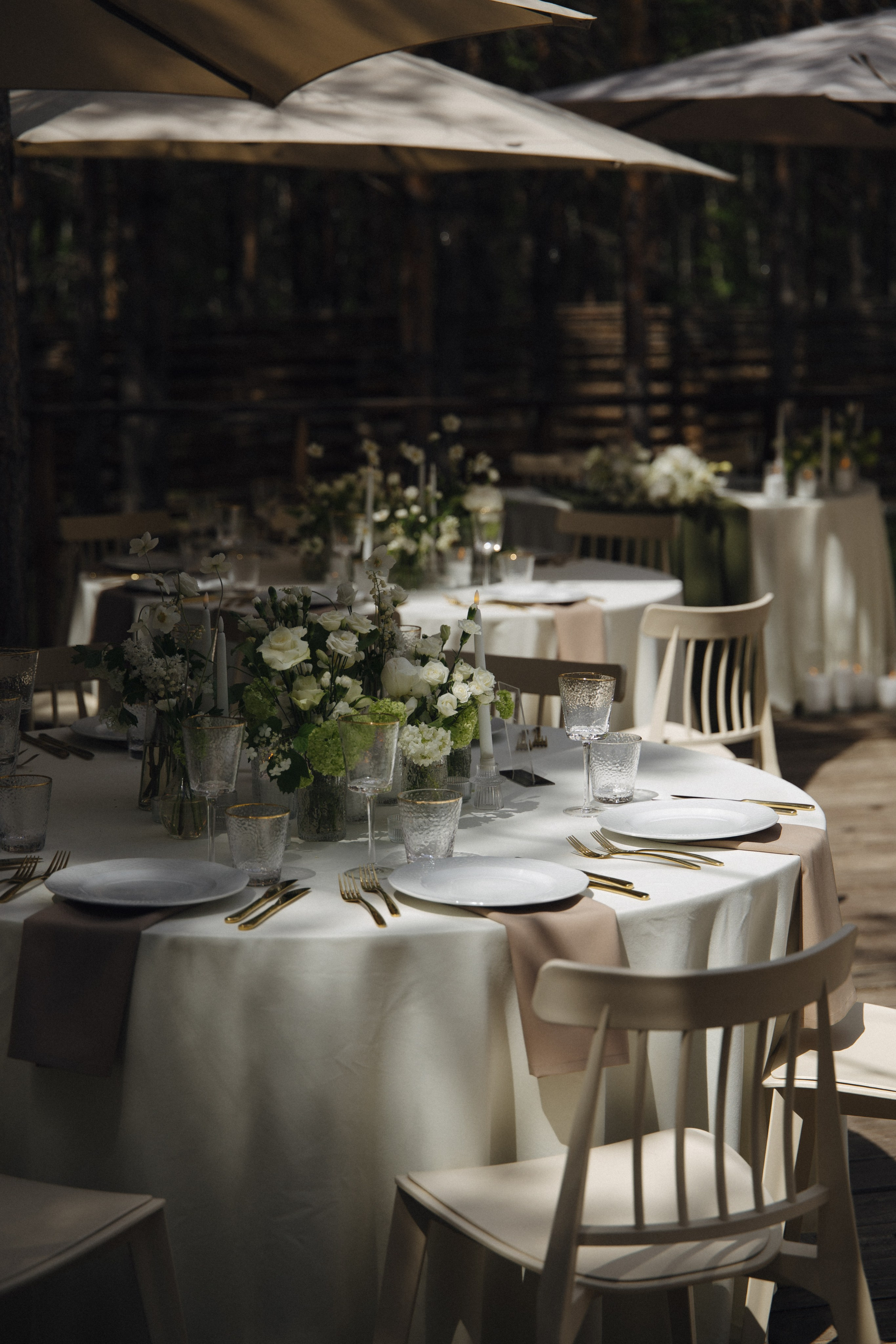 Свадьба в лесу Владислава и Светланы. Свадебный организатор Марина Корсакова, Барнаул, Бийск, Алтайский край, Горный Алтай, Новосибирск