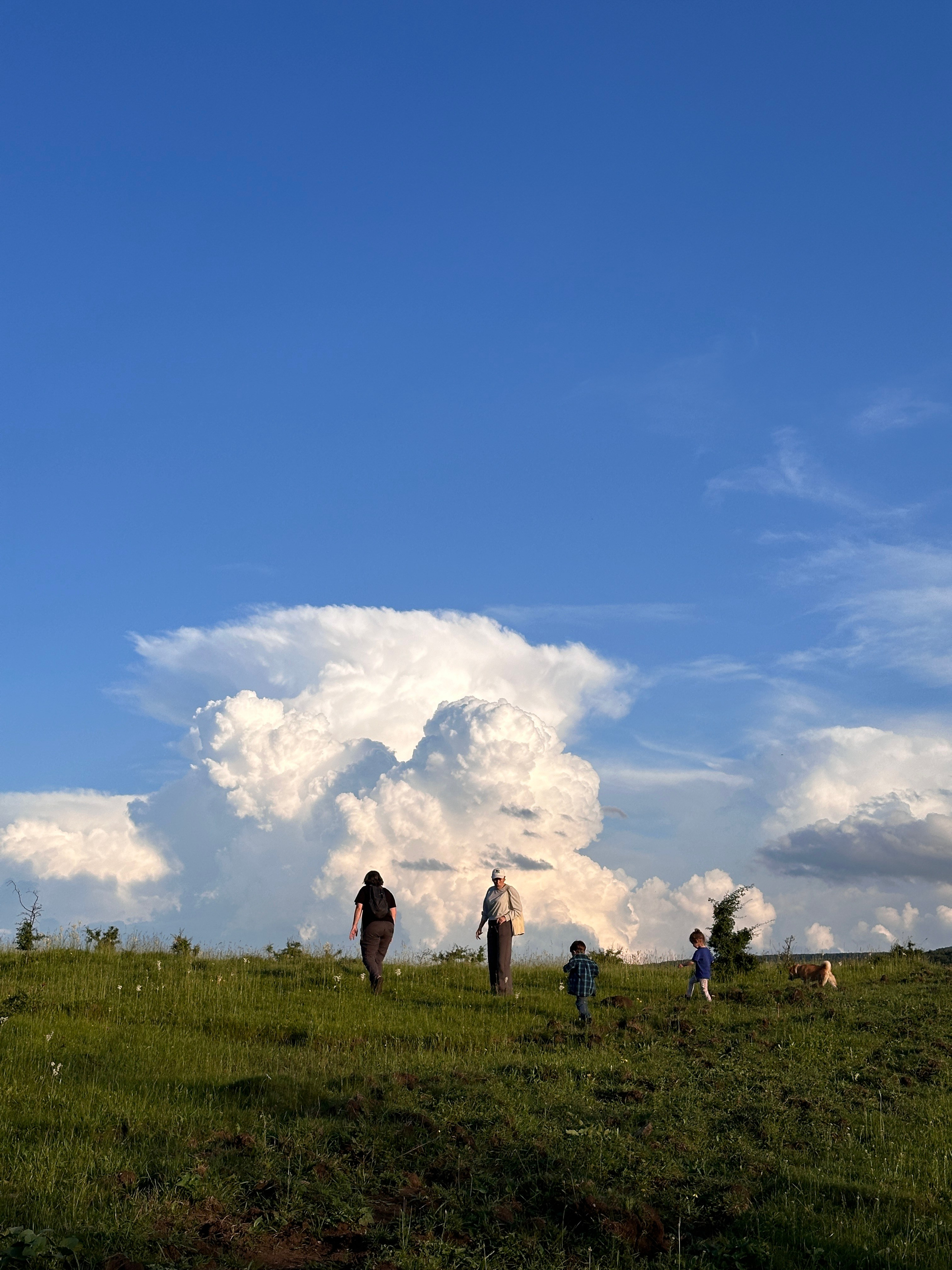 Мероприятия. Смотри, красота!
