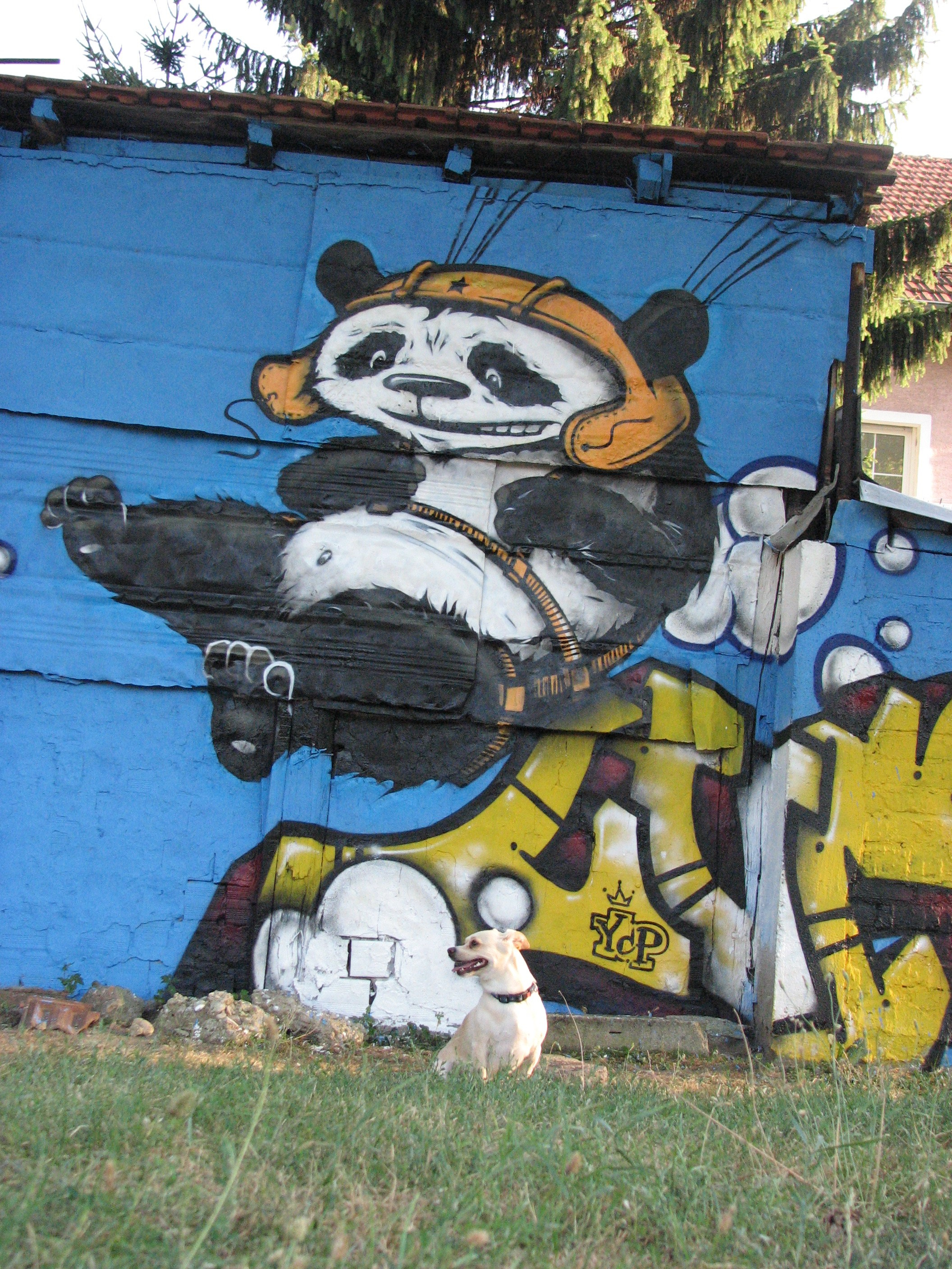 Graffiti. Alexander Stan Shimanov