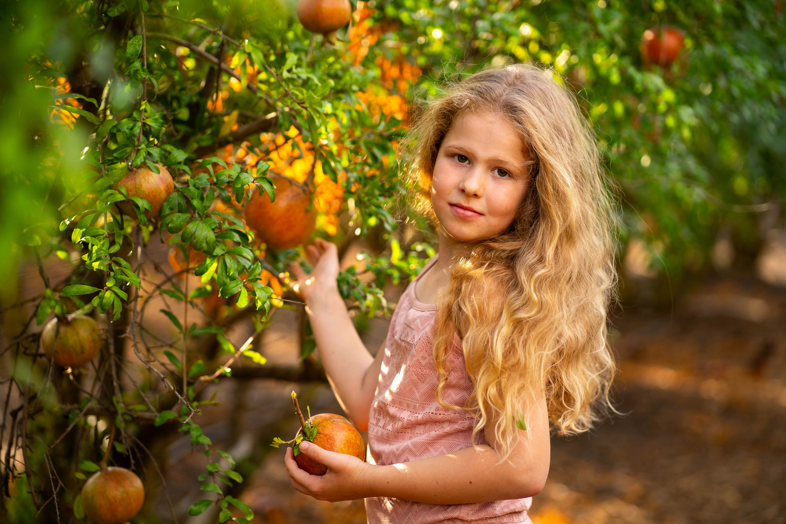 Гранатовый сад. Семейный и детский фотограф в Израиле и Москве Дорошок Надя