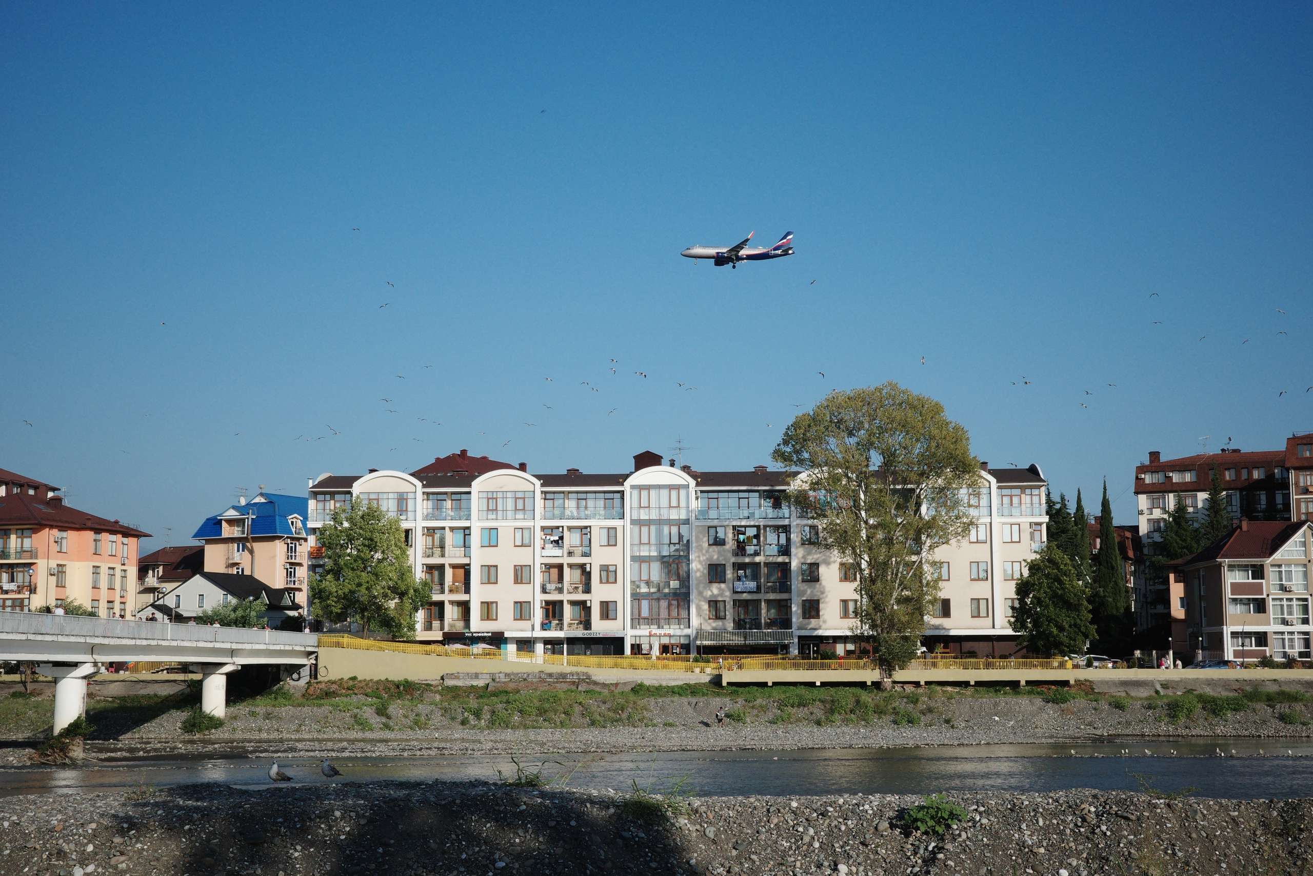 Самолеты летают очень низко и птицы разлетаются от гула