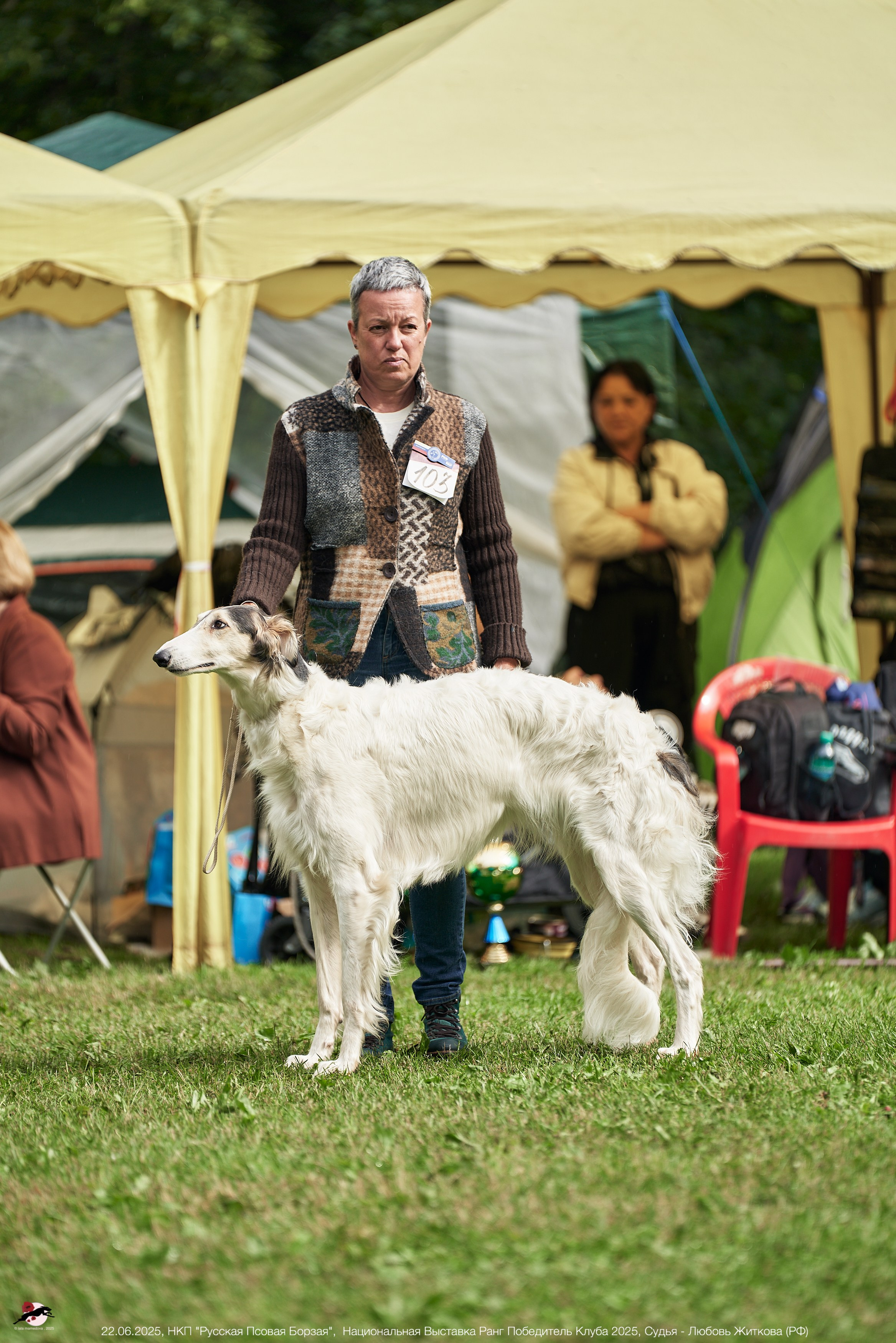 22.06.2025 | Национальная Выставка НКП "Русская Псовая Борзая"