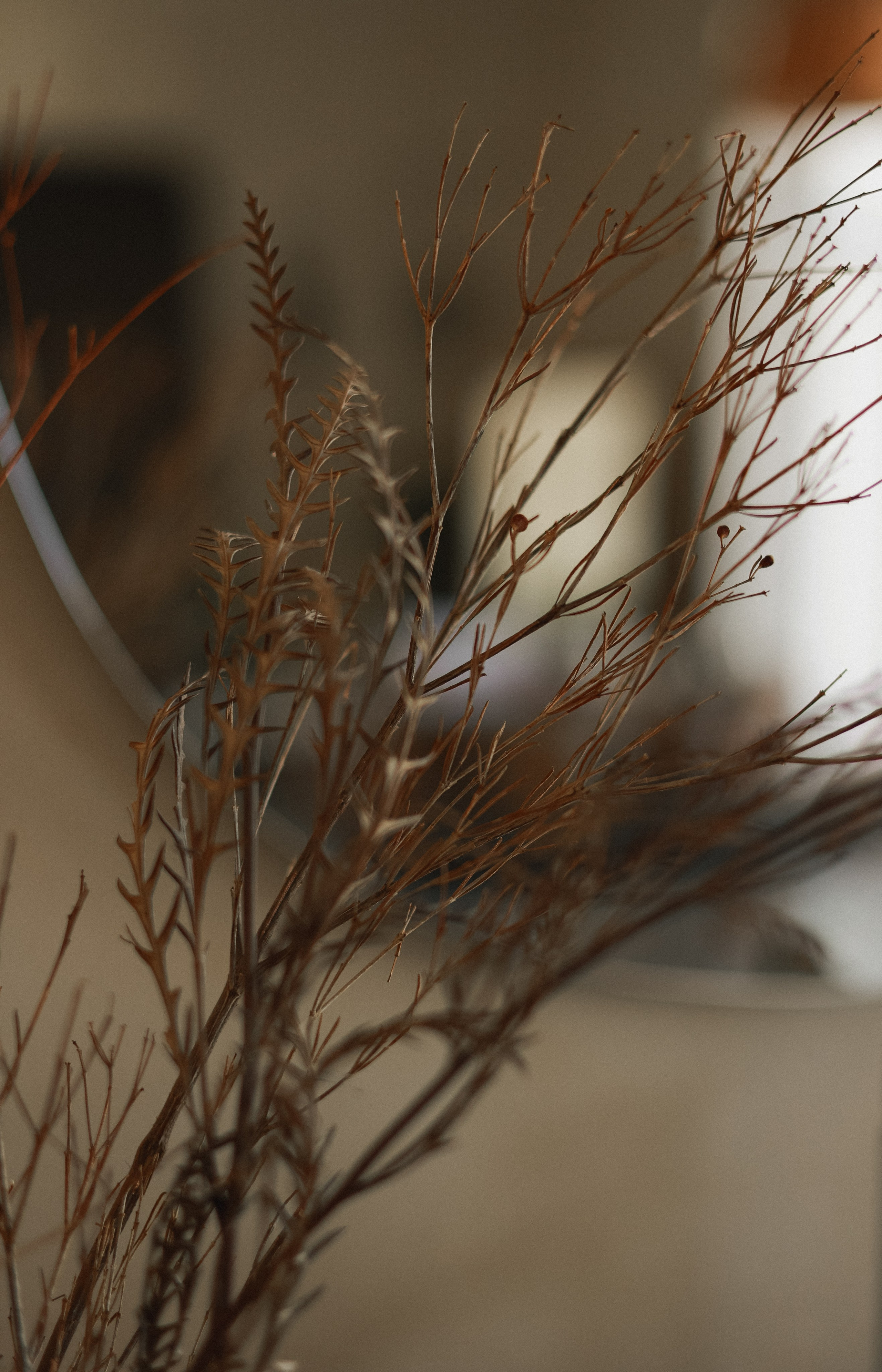 Контент фотосессия в Москве. Мария Рослякова. Портретный и семейный фотограф в Москве Мария Рослякова