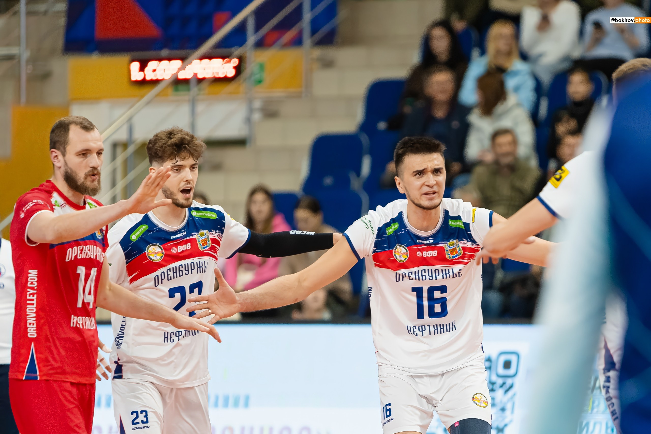 06.11 Волейбол. Нефтяник-Кузбасс. Команда специалистов в мире фотографии и видео. Детский фотограф, семейный фотограф