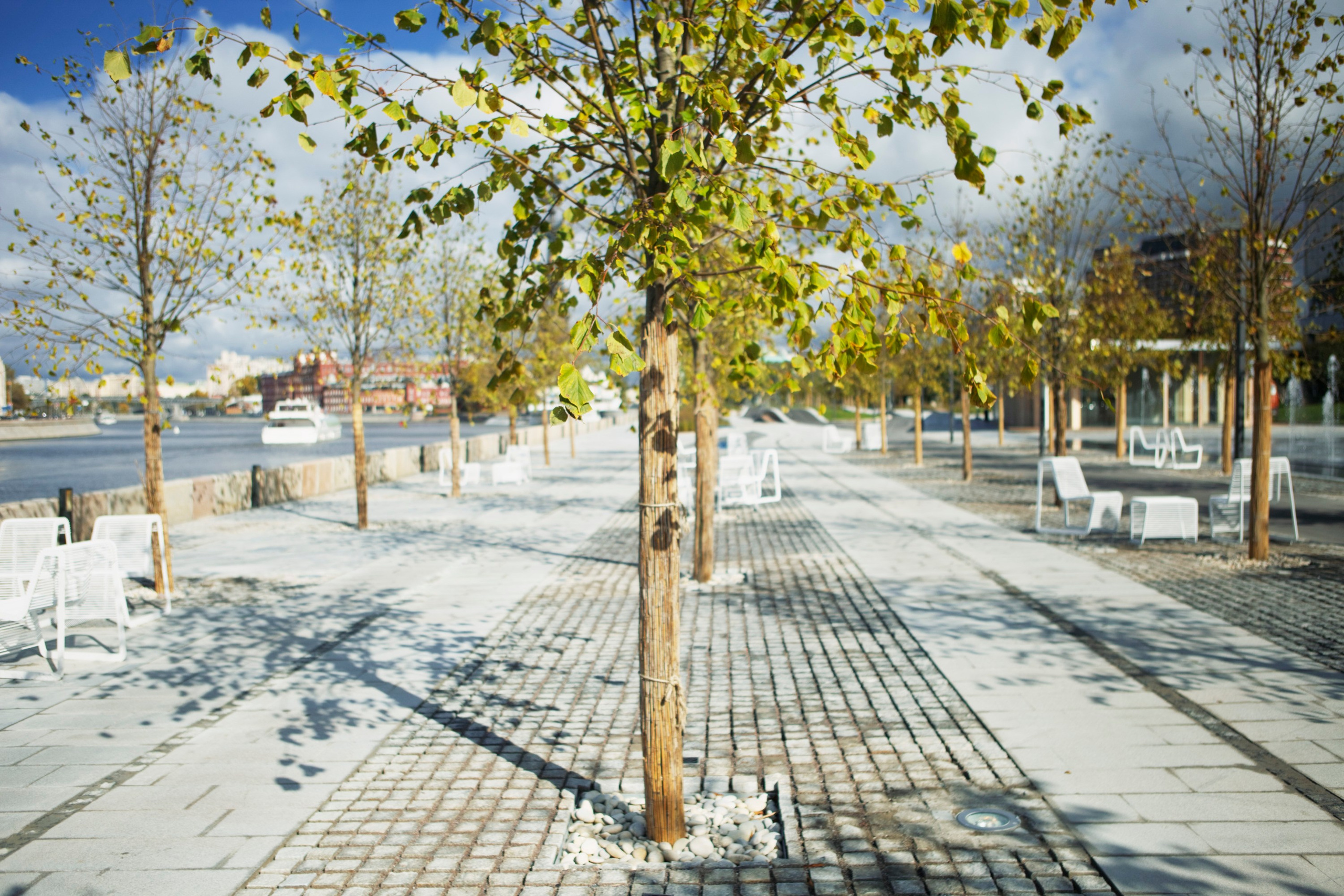 Юрий Бражников. Фото- и видеосъёмка в Москве