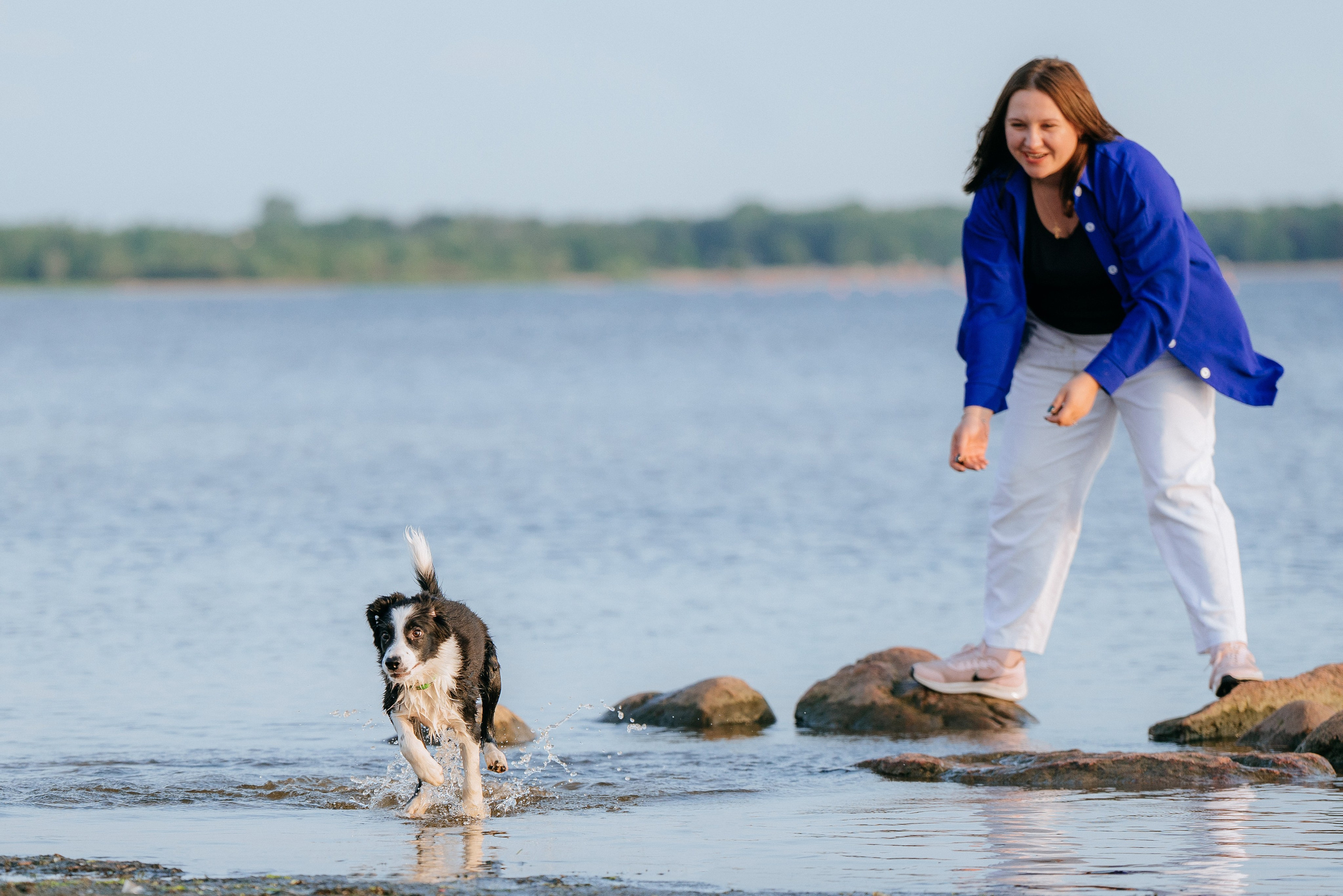Фотосессия со щенками колли. Фотограф анималист в Спб недорого Олеся Майорова