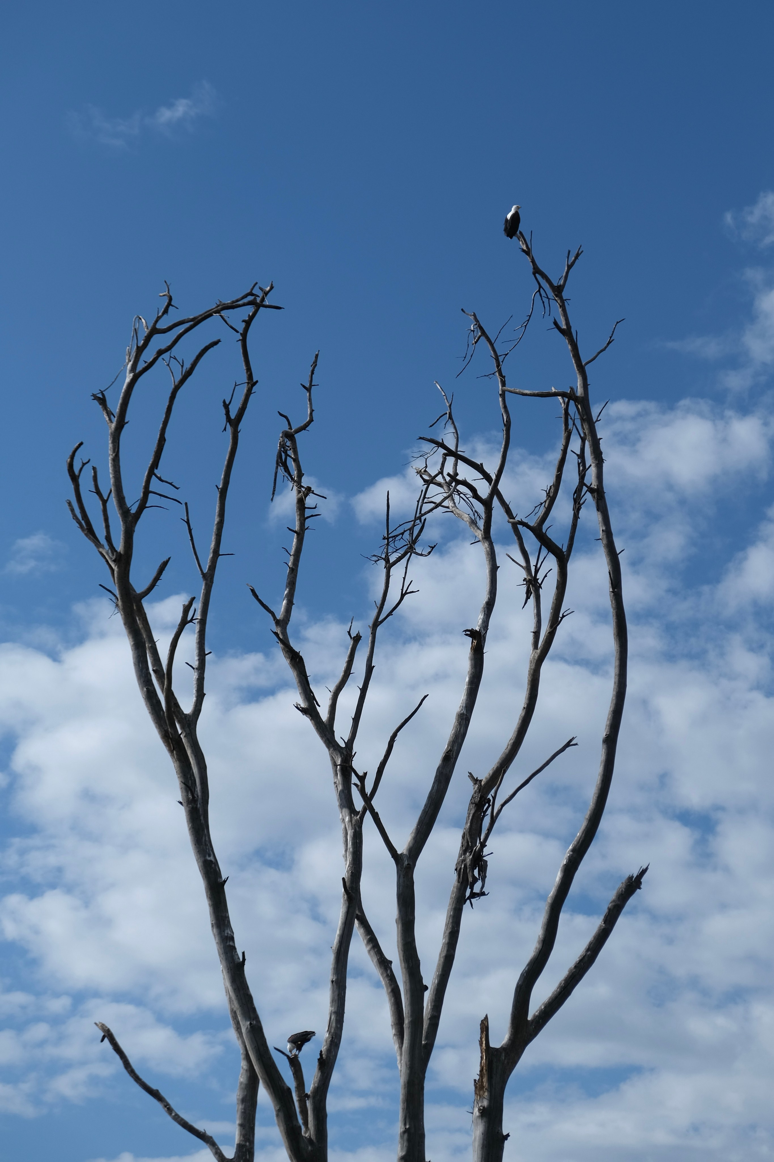 Nataresso | фотограф Москва