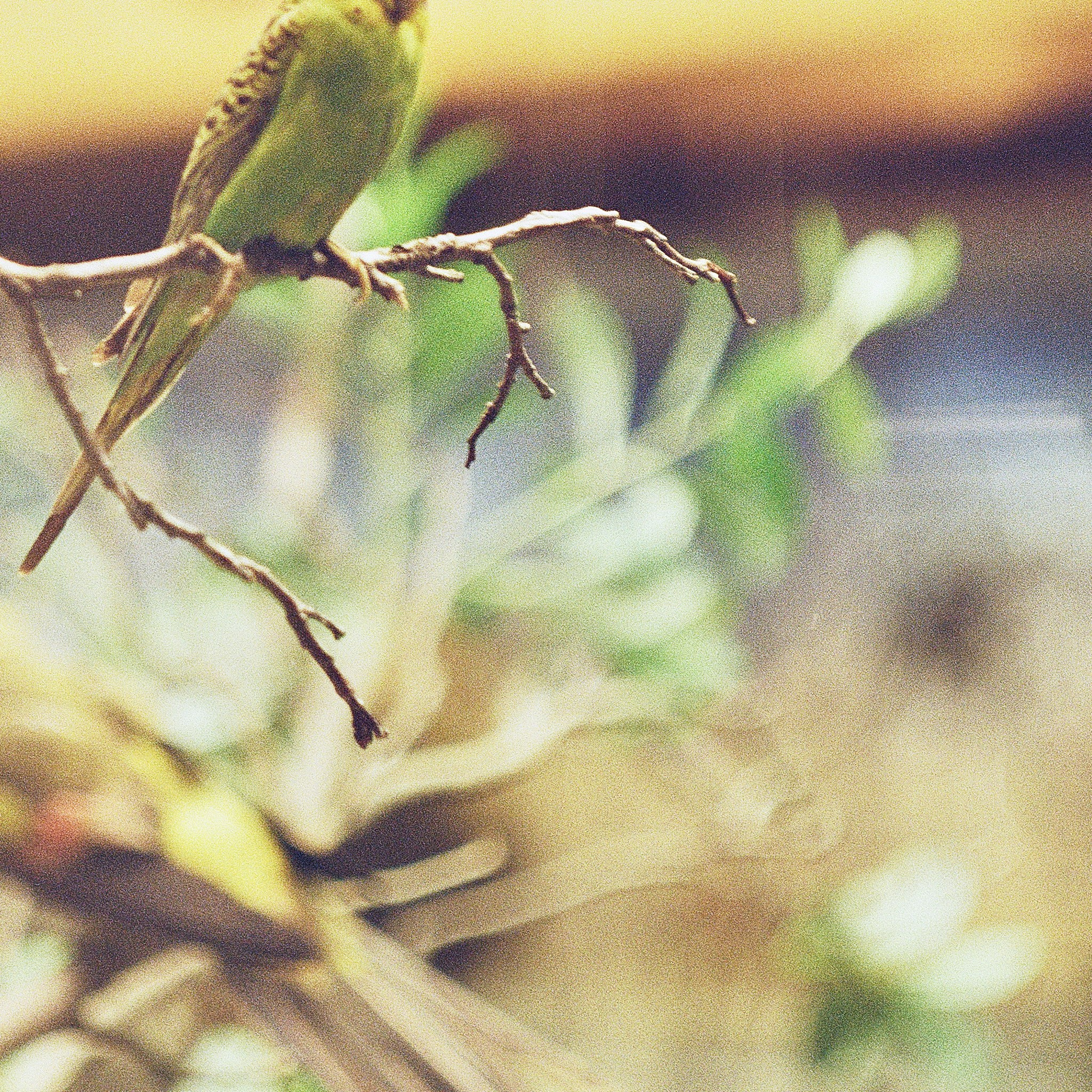 Пьюти-фьют. Игорь Скабелин