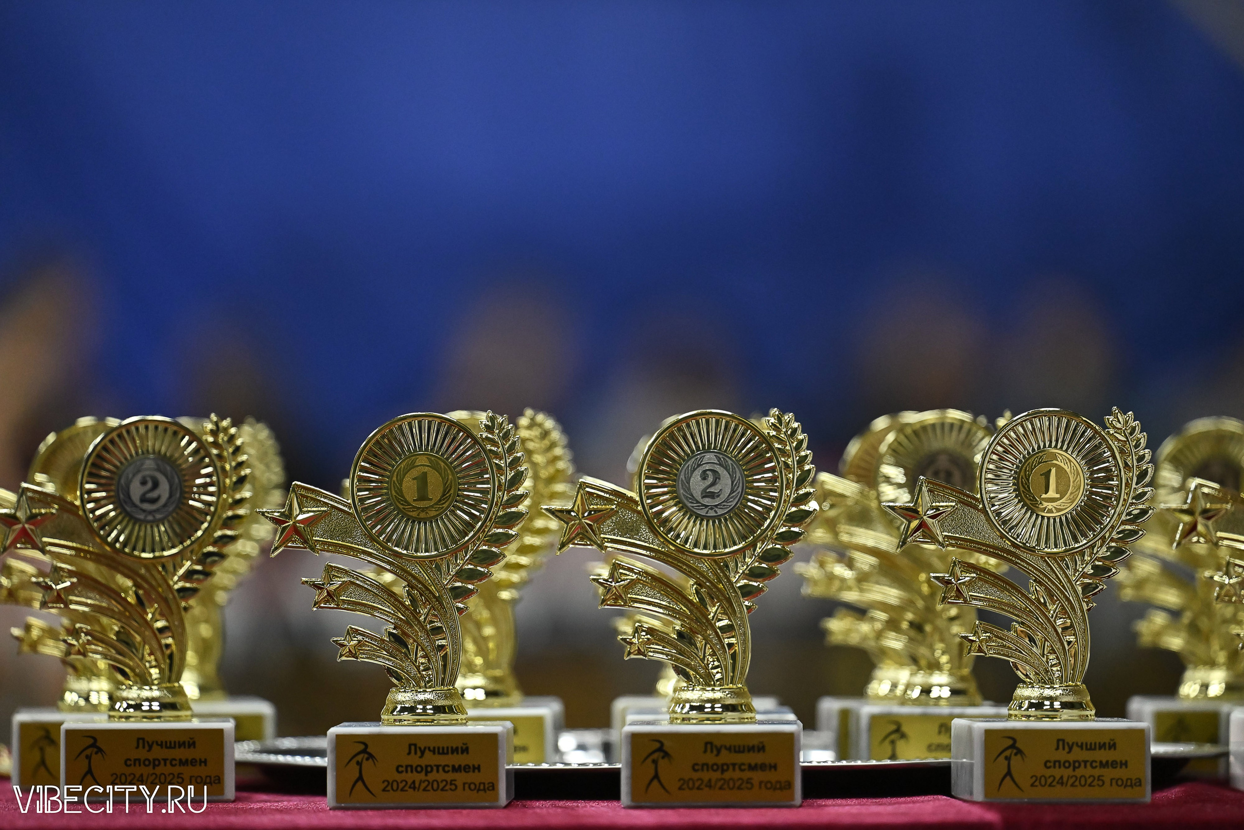 Контрольная тренировка по спортивной гимнастике. VIBECITY.RU Вайб Сити Ру Фоторепортажи Фотоотчеты Калининград