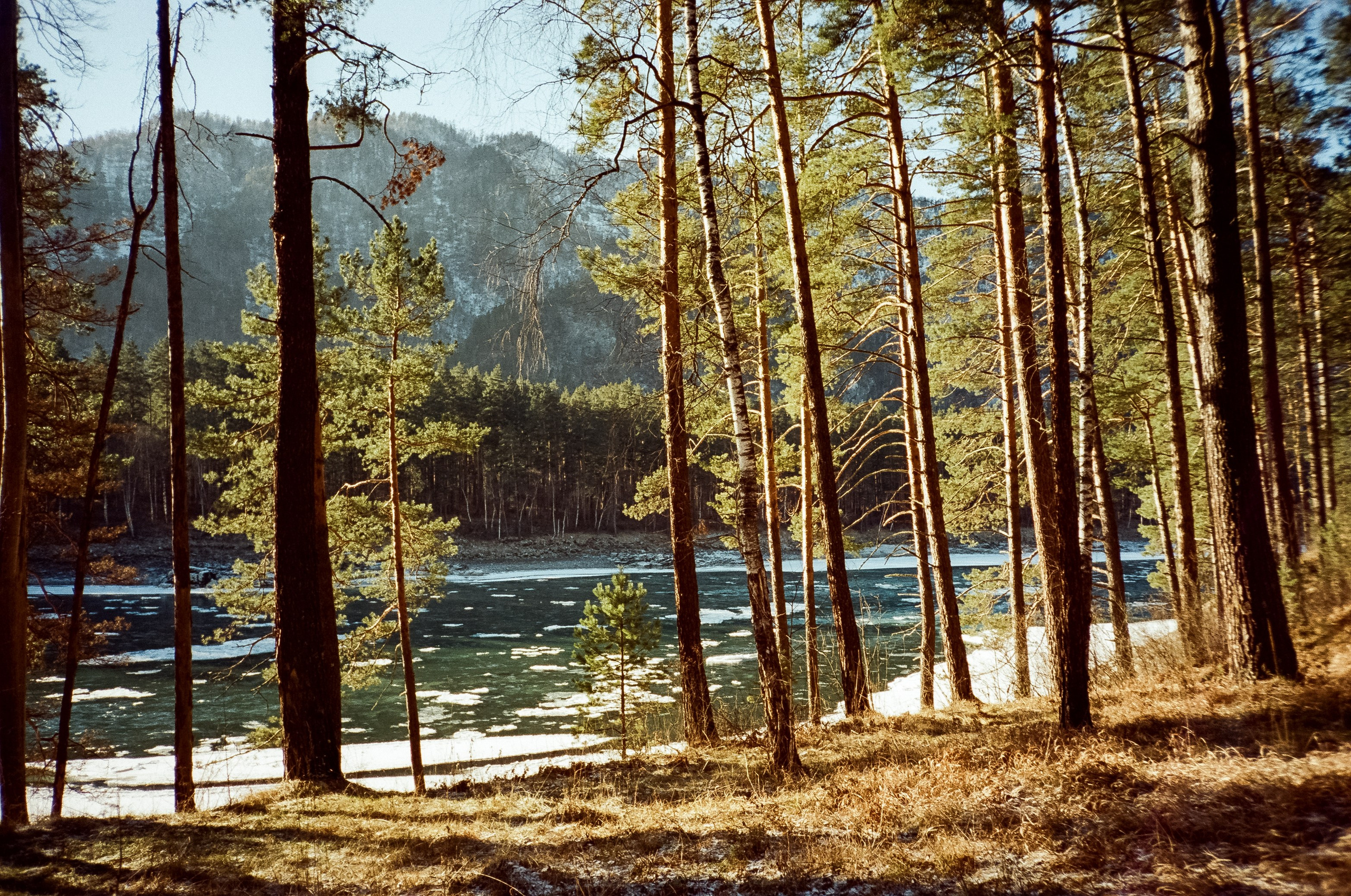 Подвесной мост Царская охота, базы Белые Скалы и Берель, Coffee Bus и. Фотограф-документалист Мария Осокина