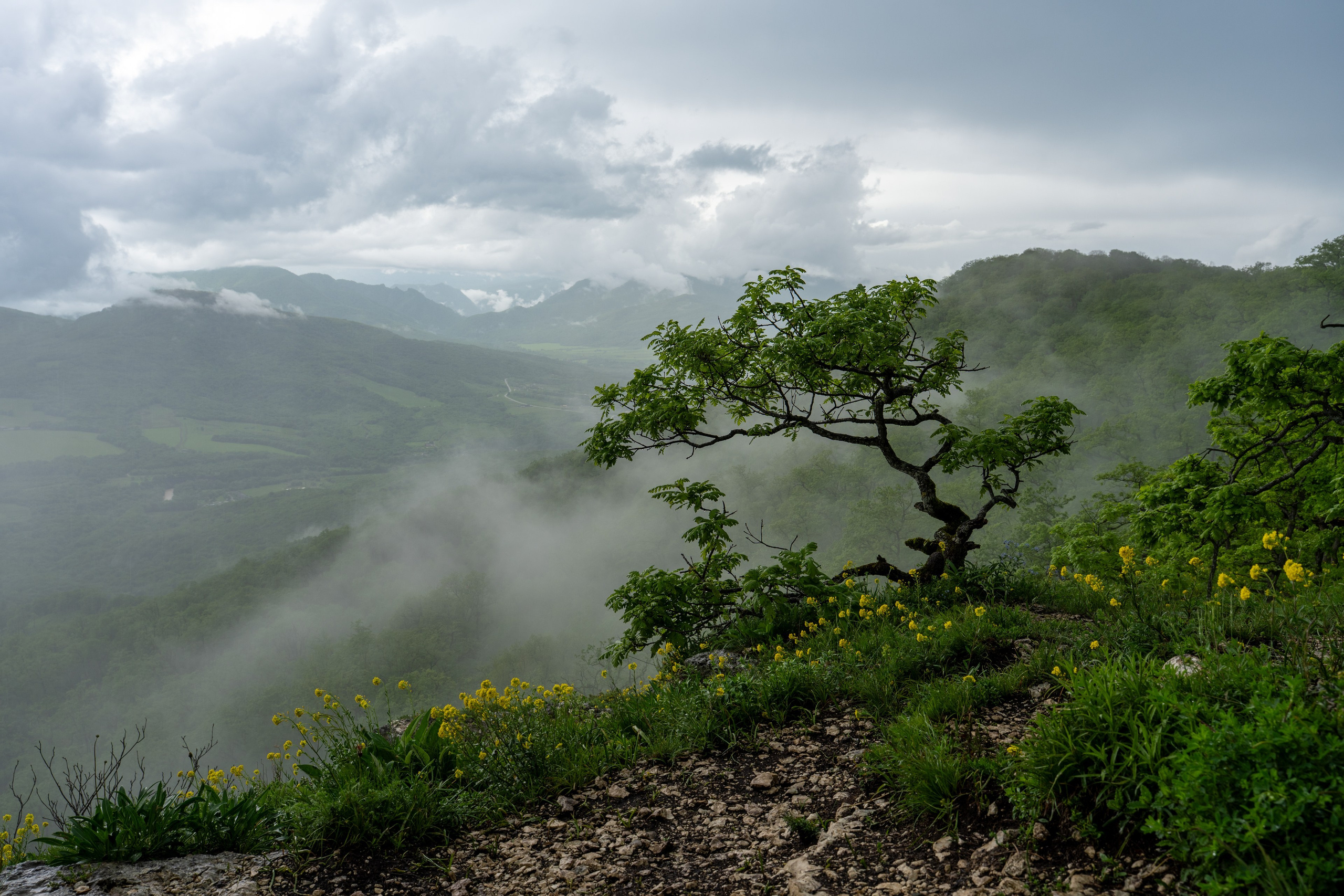 Владимир Гурылёв — путешествия, природа и фотография