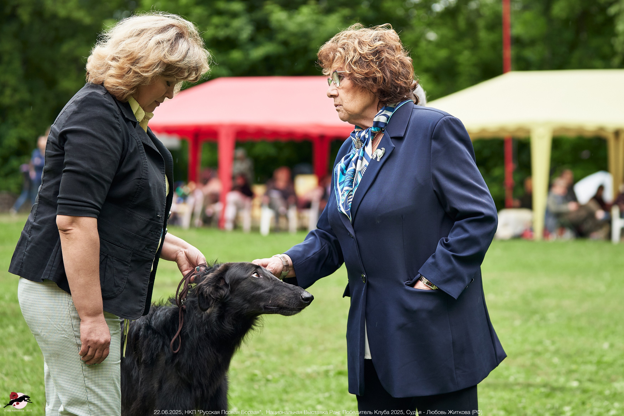 22.06.2025 | Национальная Выставка НКП "Русская Псовая Борзая"