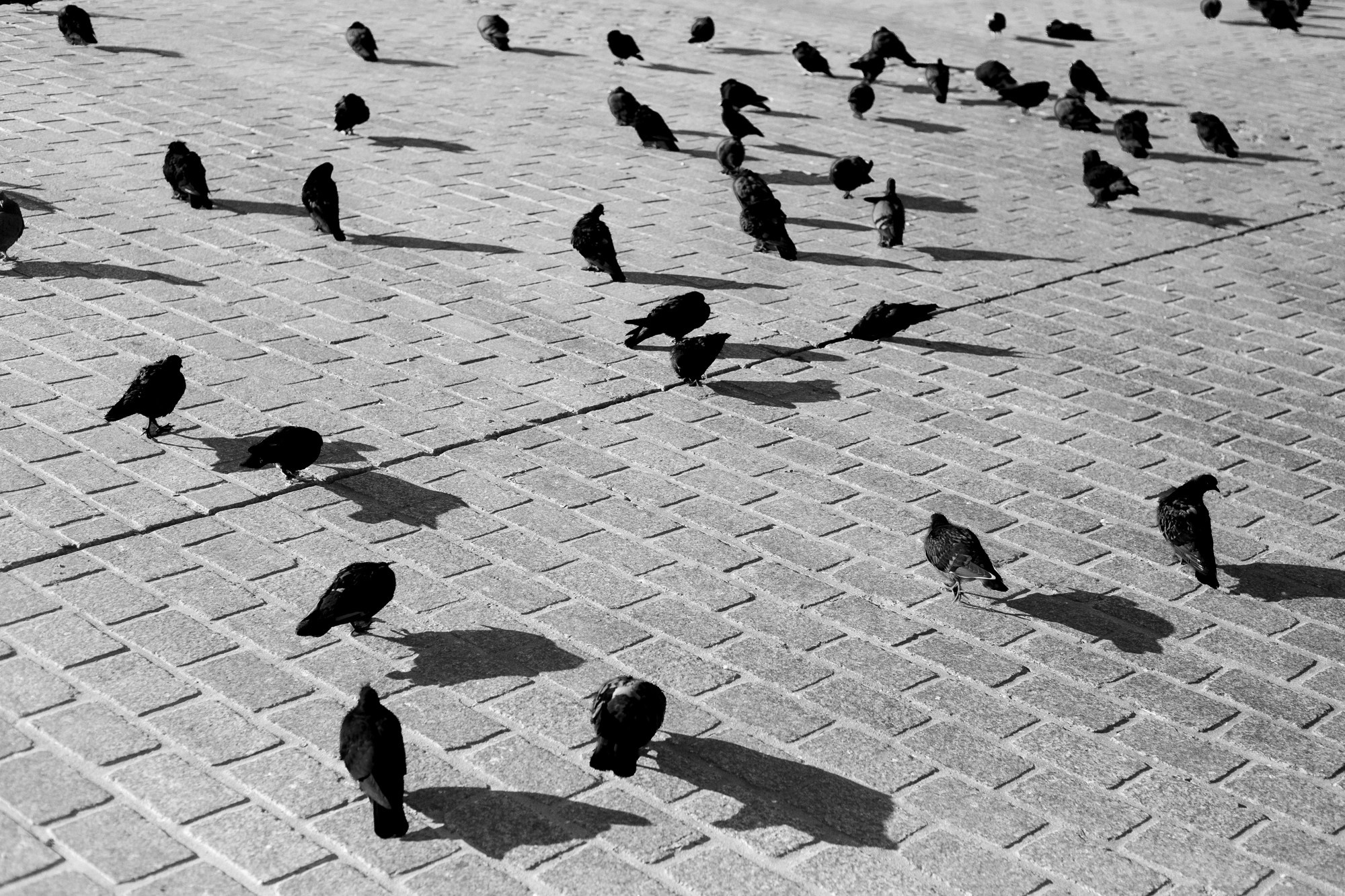 #PHOTODIARY | POLAND. Photographer in Budapest — Yura Knyazev