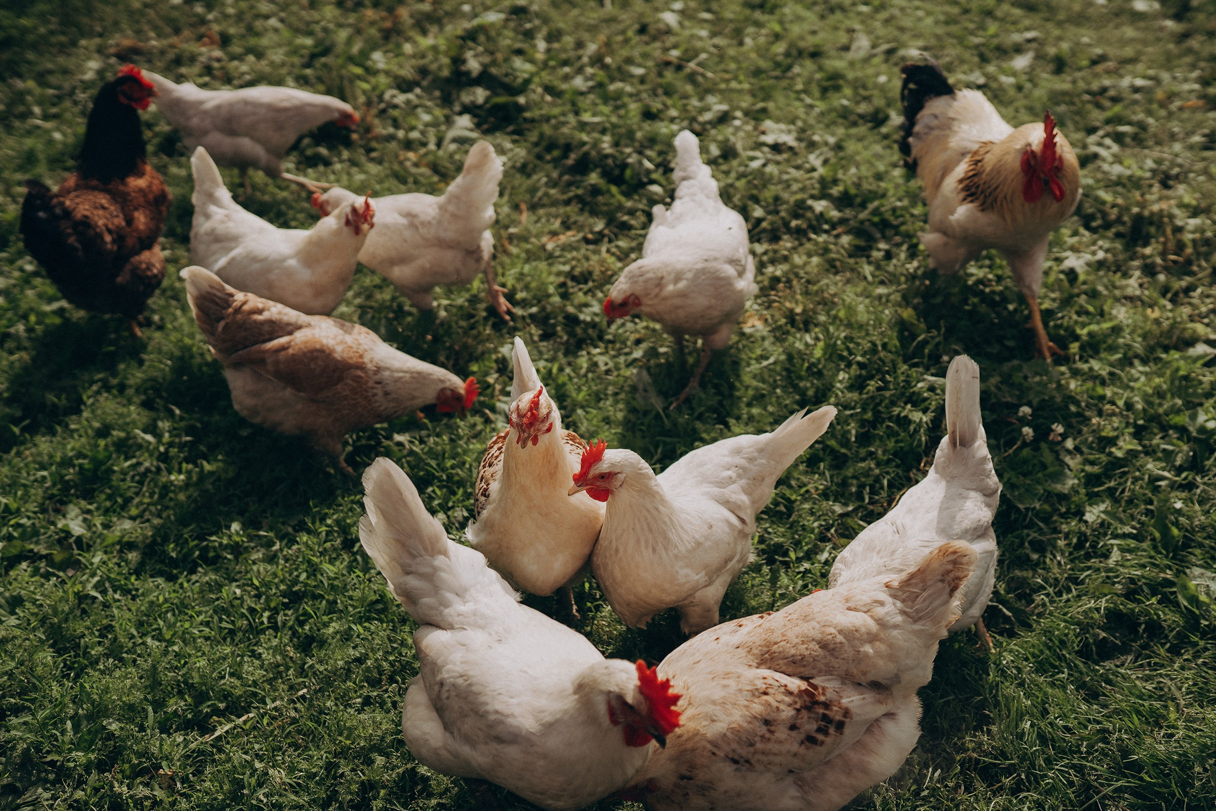 Поколения. Детский и семейный фотограф — Калининград — Юля Насифуллина