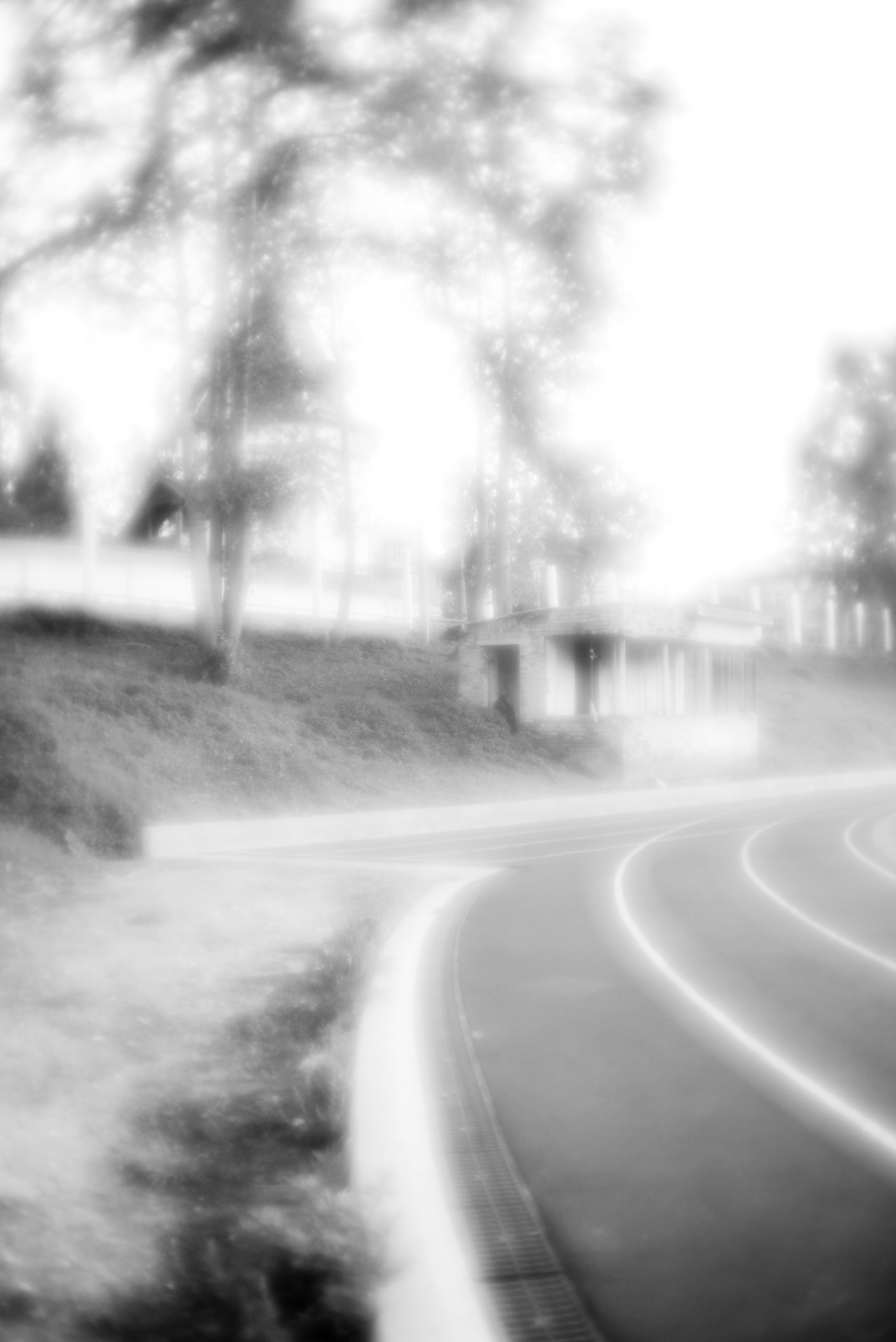 «Трава забвения»/ «The herb of oblivion» (2024-in progress). Morskyakanulavmorya