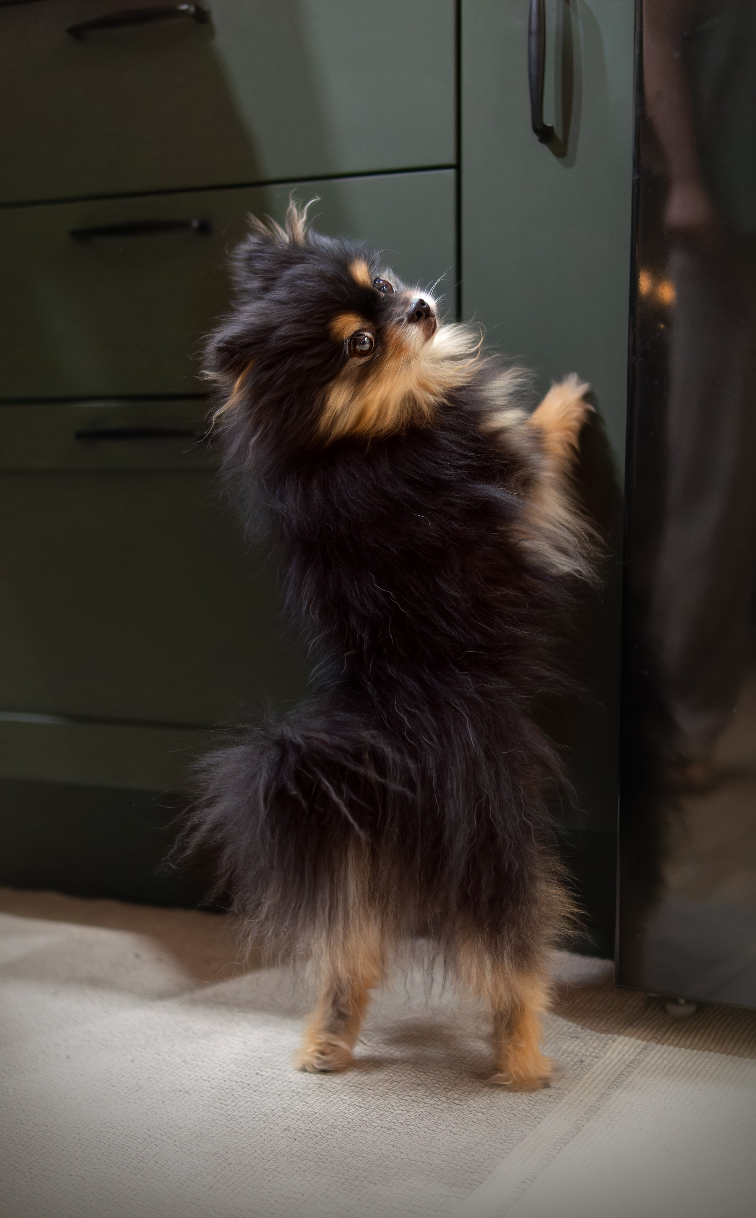 Домашняя фотосессия — сервировка стола к семейному ужину