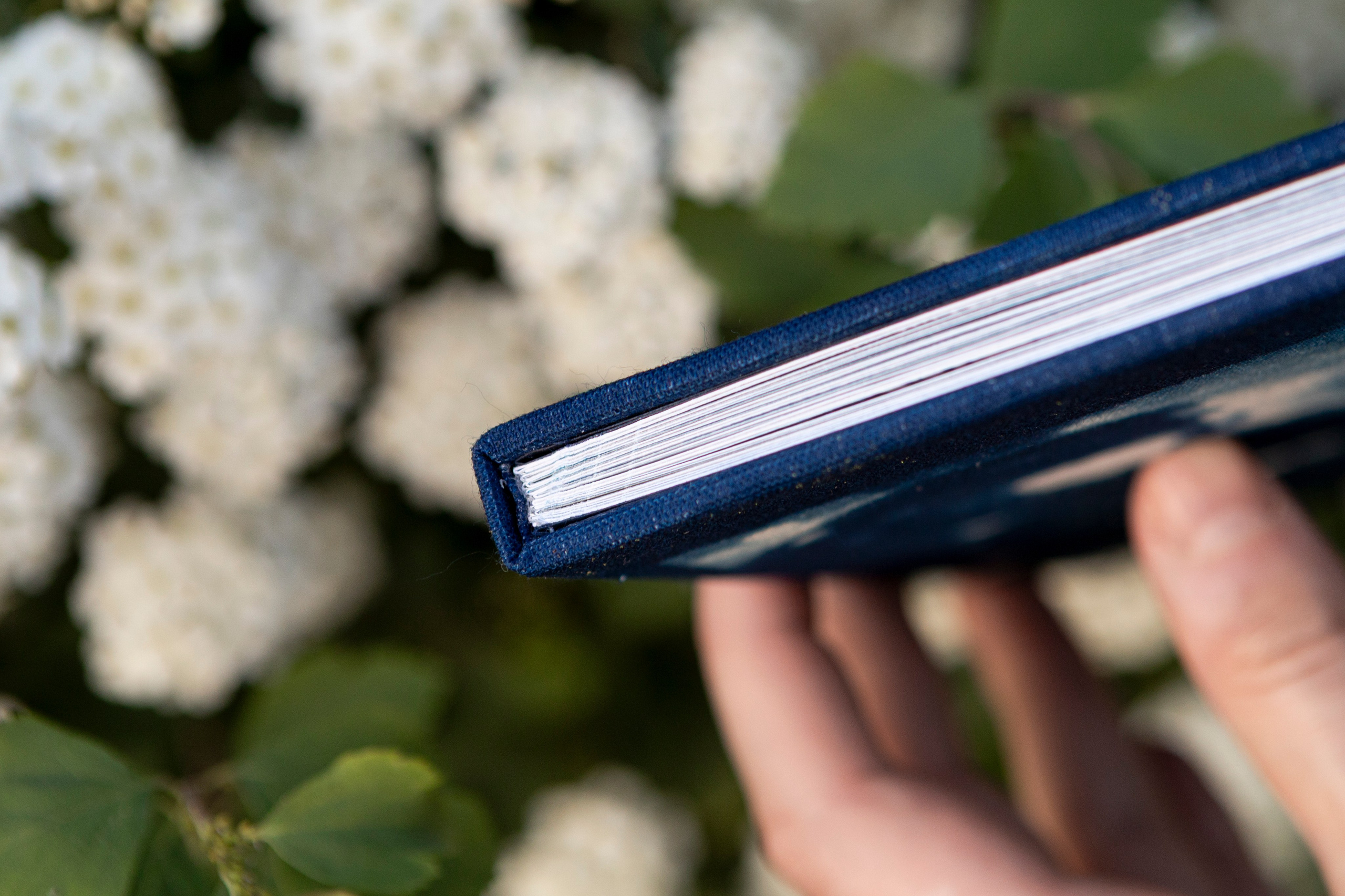 Фотозин «Светлячки в темноте»