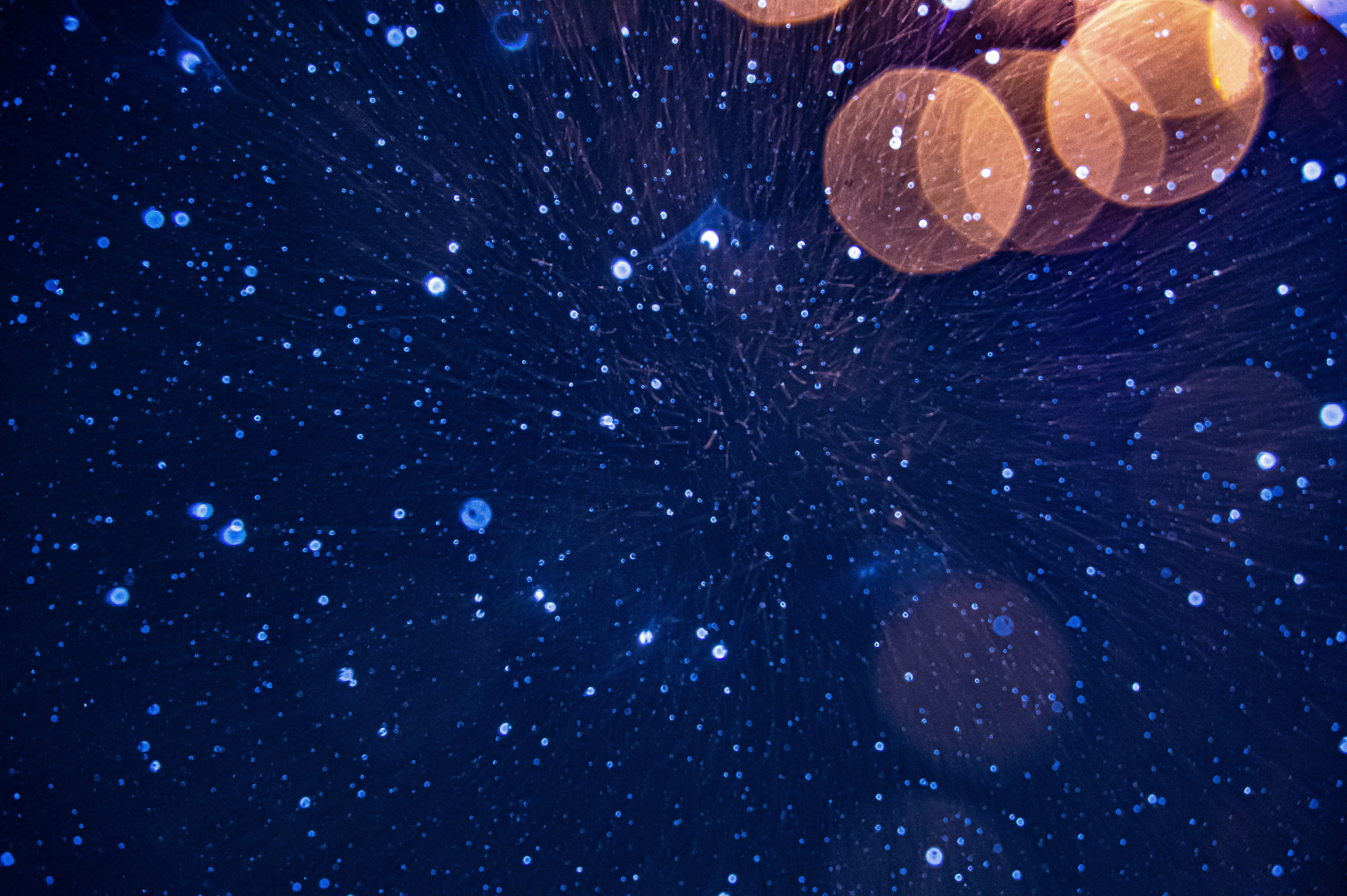 Атмосферная натурная фотография. Любовь Каширская — фотограф для малого бизнеса и специалистов