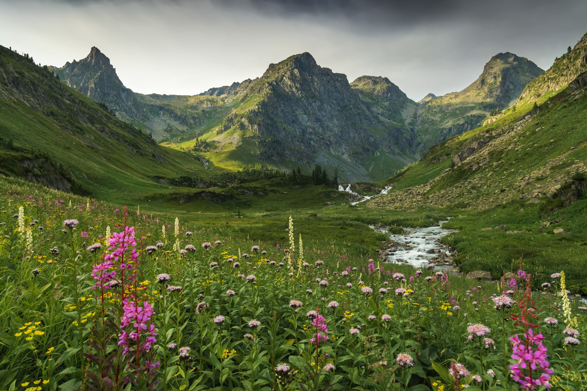 Лето в Горном Алтае. Профессиональный пейзажный фотограф Алёна Рубан