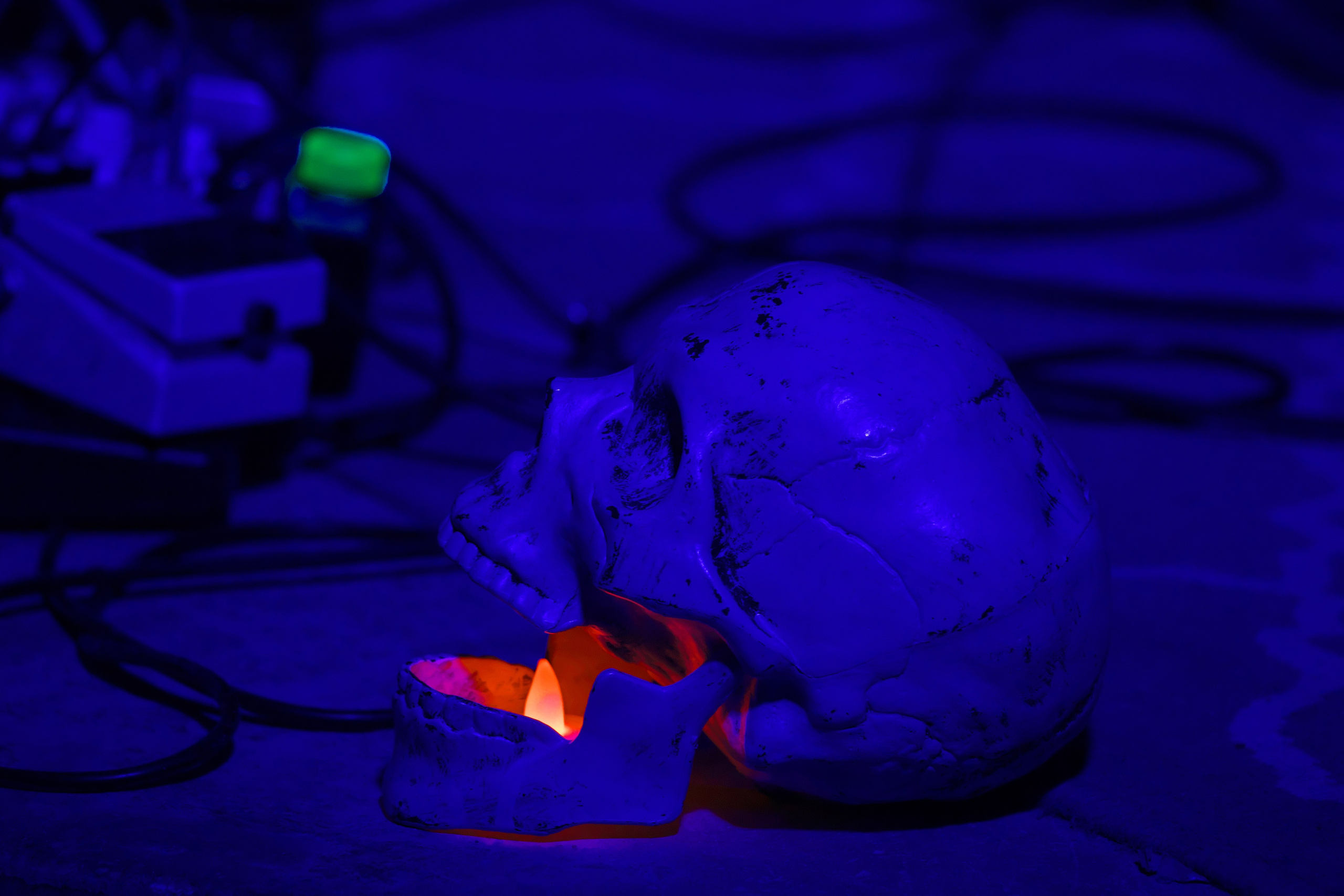 Пламень огненный 🎺. Миша Печёнкин | фотография