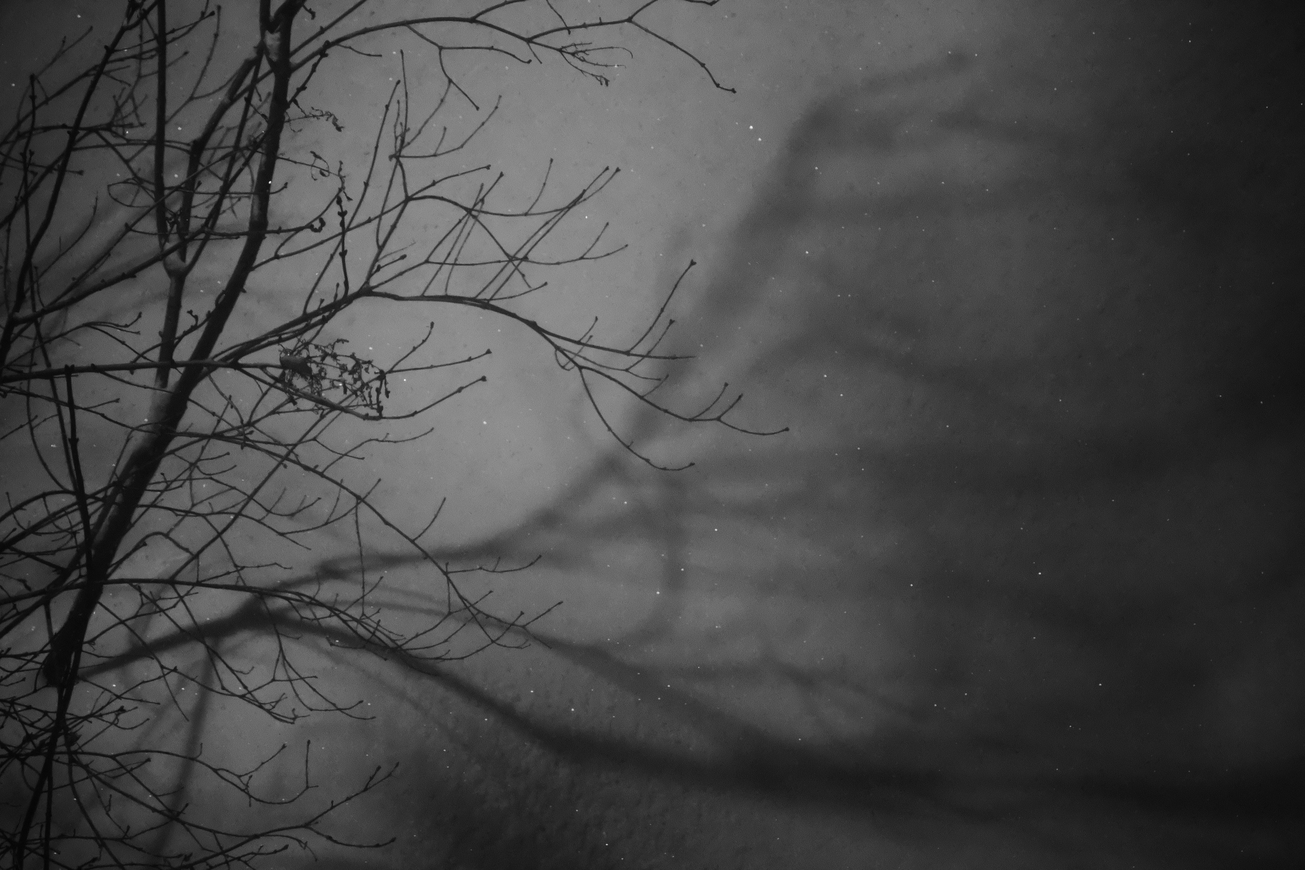 Тени зимы❄️. Миша Печёнкин | фотография