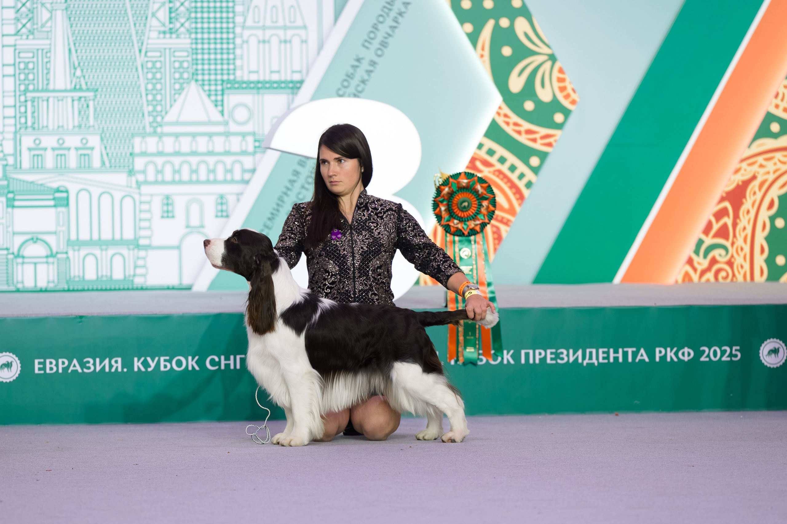 15-16.11.2025 ЕВРАЗИЯ г. Москва. Фотограф анималист Елена Галдина г. Красноярск