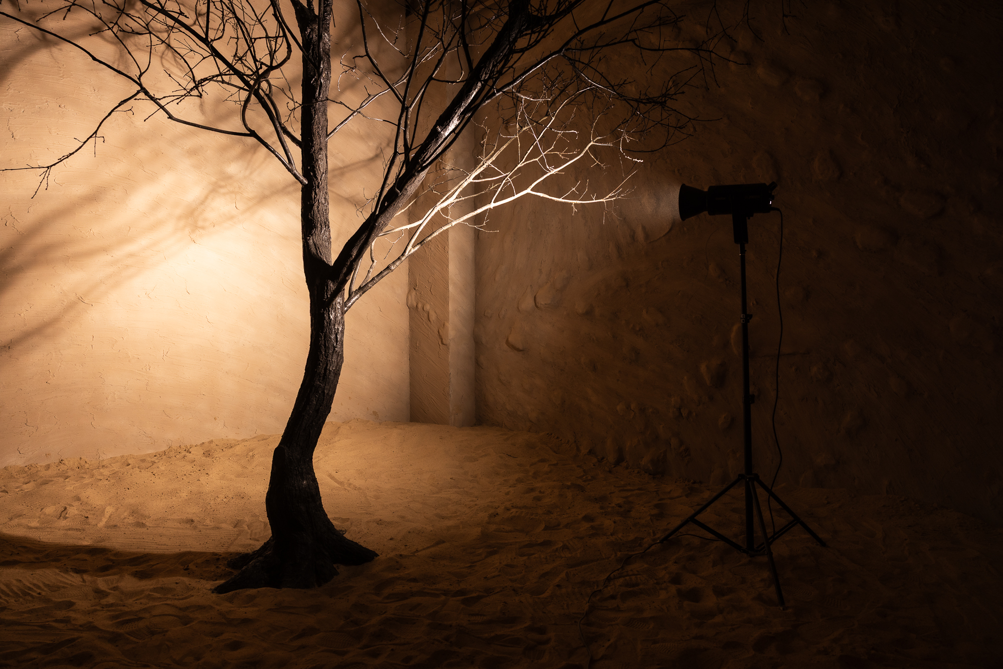 Photohub прочие залы. Фотограф в Минске Людмила Дутко