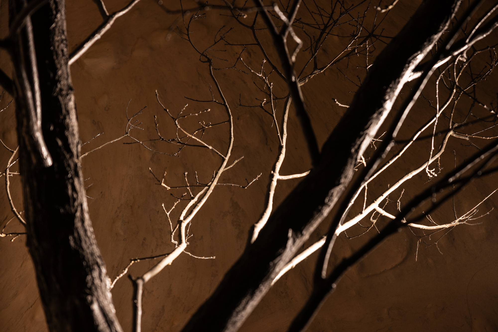 Photohub прочие залы. Фотограф в Минске Людмила Дутко