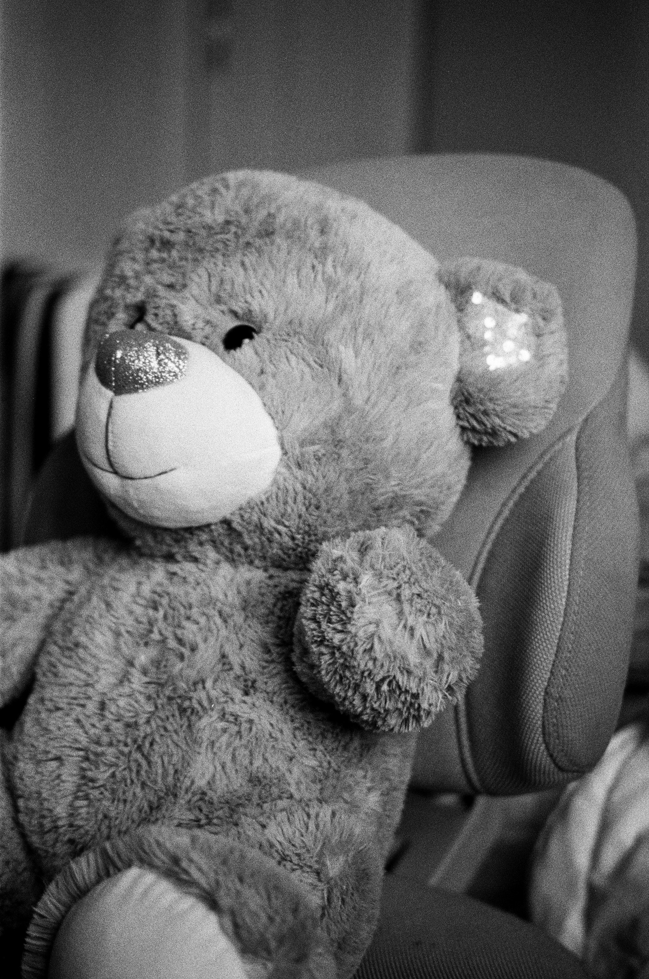 Voigtlander BESSA-T — Voigtlander Color-Scopar 50 mm f/2.5