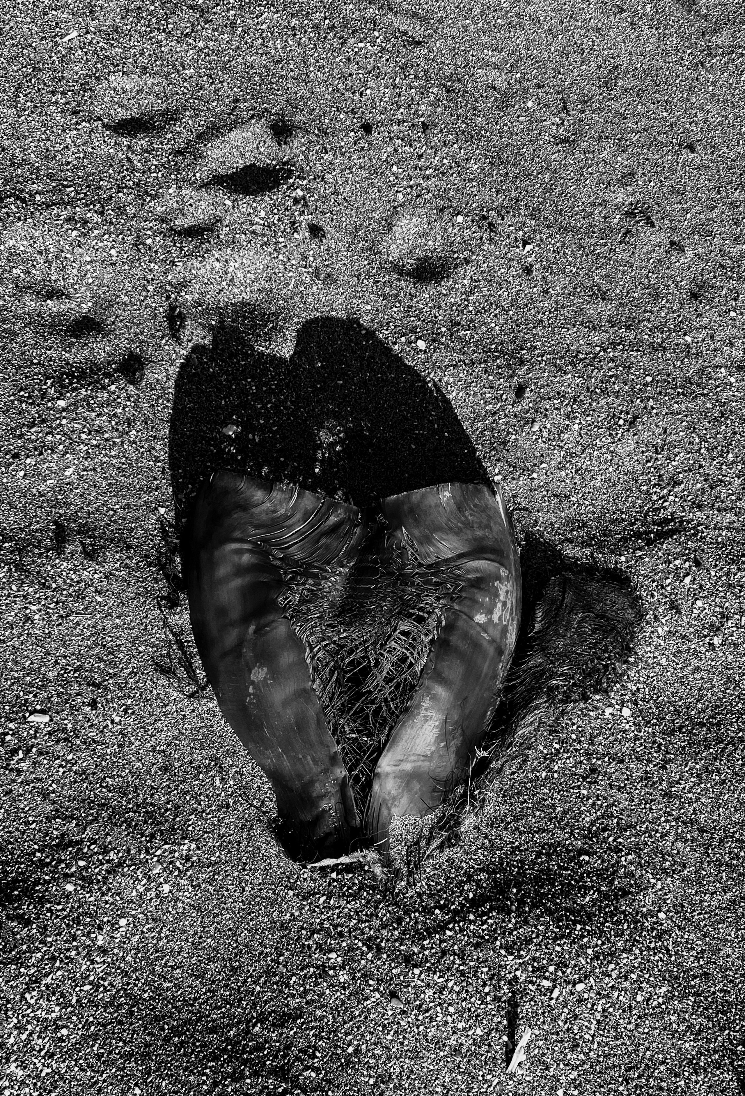 ВЫСТАВКА. Света ЧЕ. Мастер интеллектуальной фотографии. Краснодар