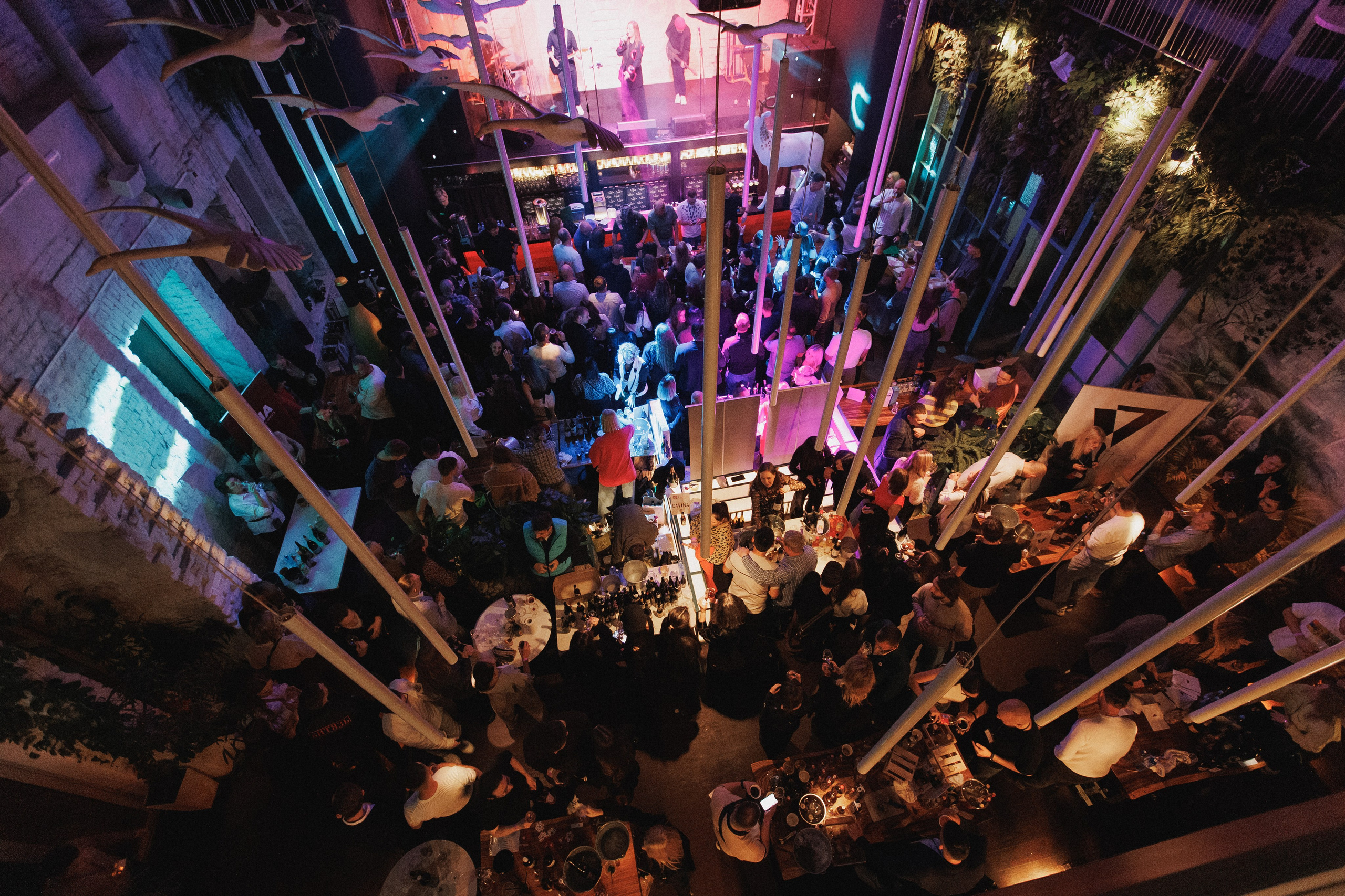 ВИННЫЙ ФЕСТИВАЛЬ. СВОИ. ФОТООТЧЕТЫ-СОБЫТИЯ-МЕСТА