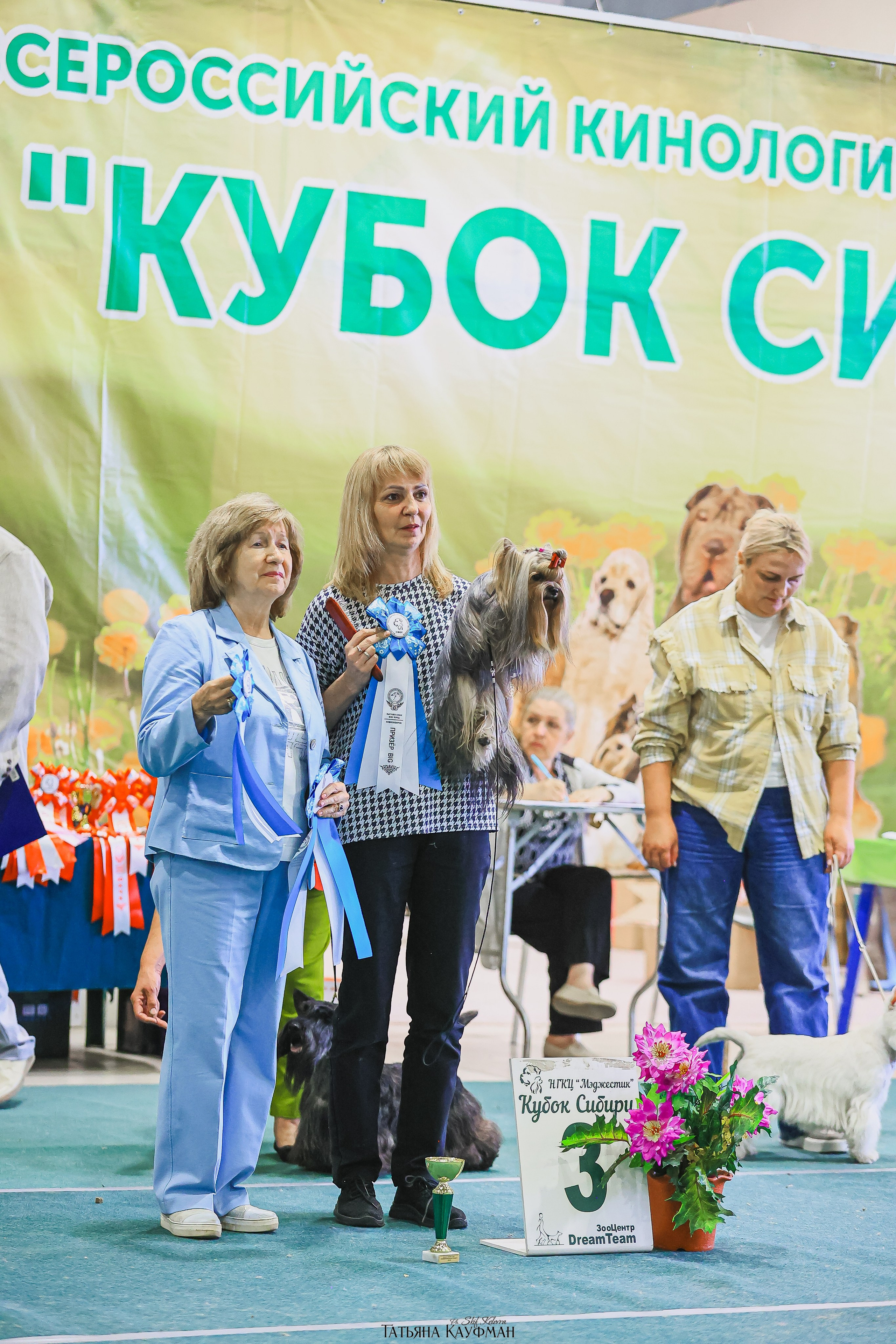13.07.25 2х выставки собак. Новосибирск. «Кубок Сибири»