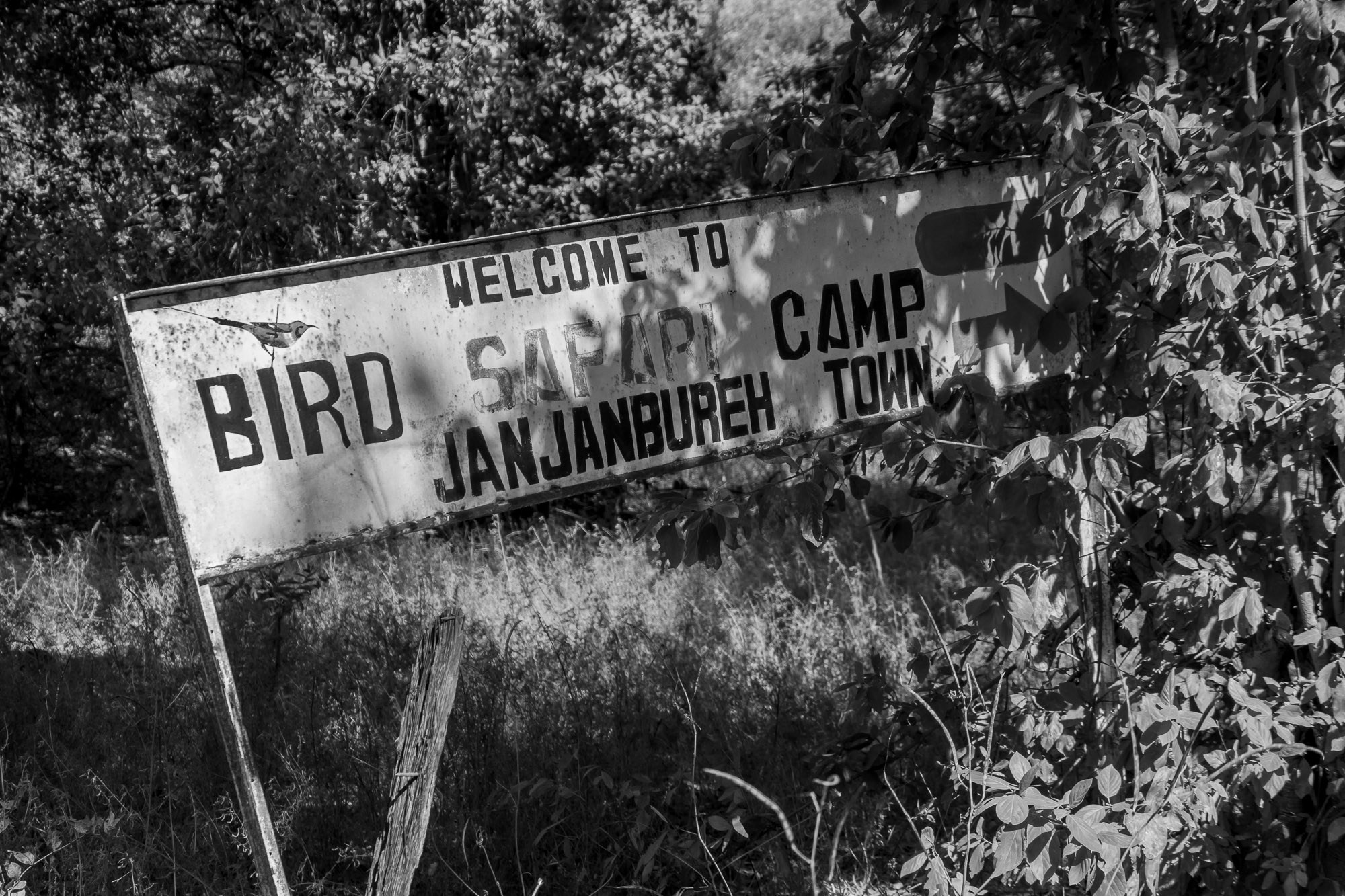 Путешествие по Гамбии (Западная Африка).Traveling in Gambia (West Africa.). Фотограф Алексей Скоробогатько