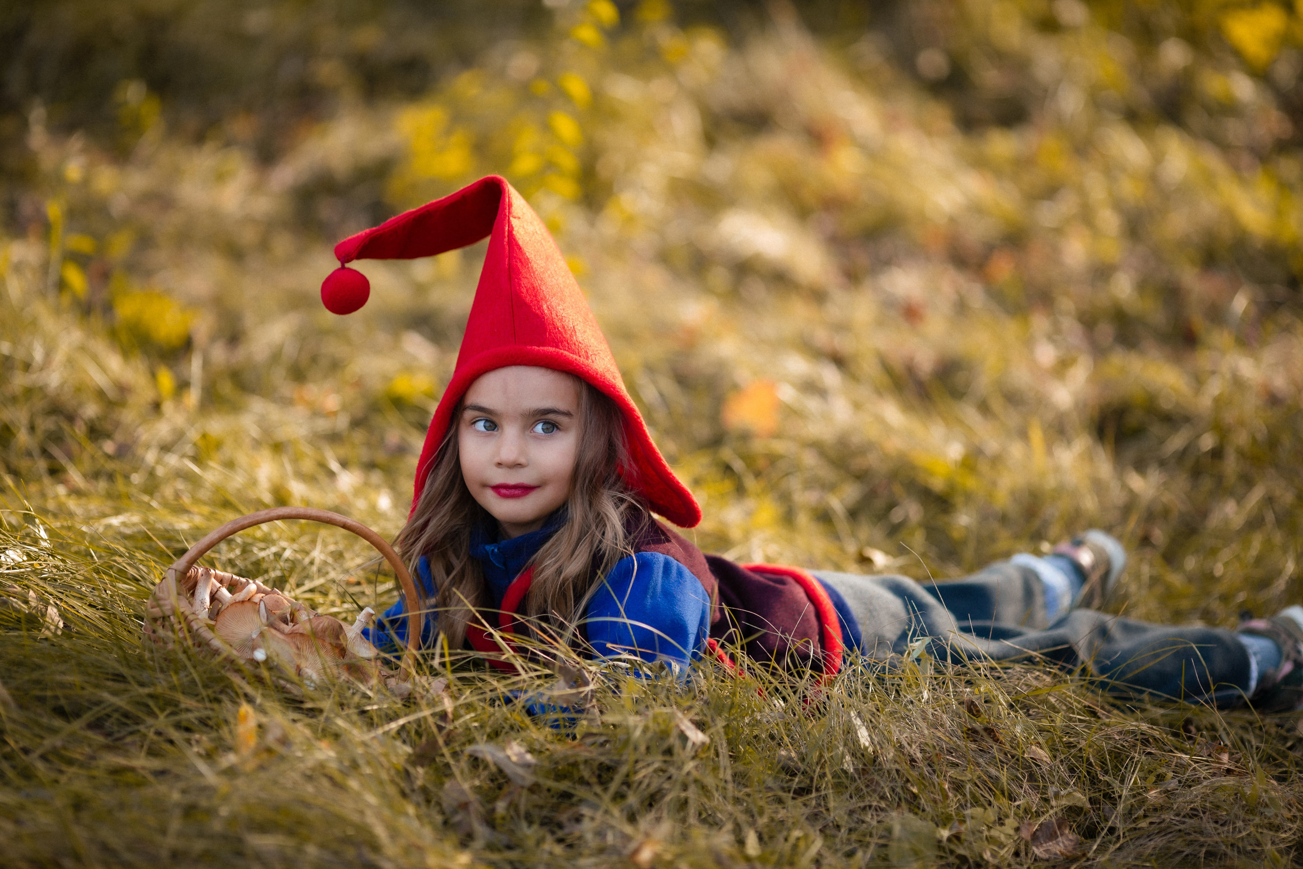 Лесные гномы