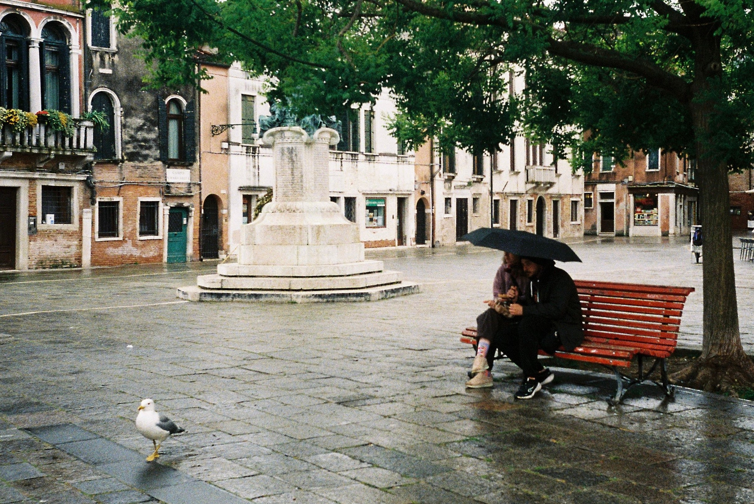 Мои путешествия. Rose Korenevskaya|Ваш нежный фотограф