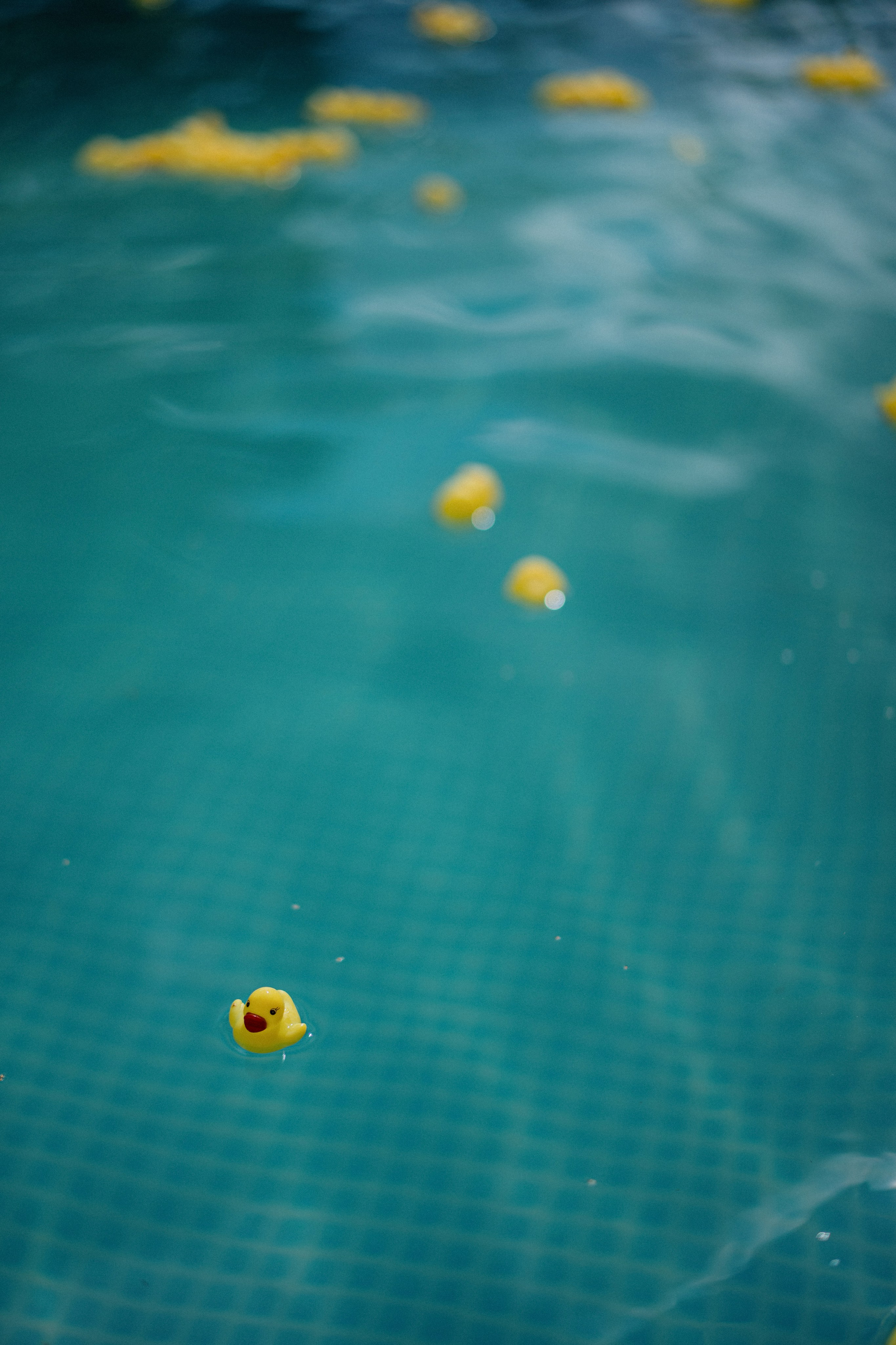 08 АВГУСТА 2024. Фотограф Томск, Новосибирск Влад Свириденко