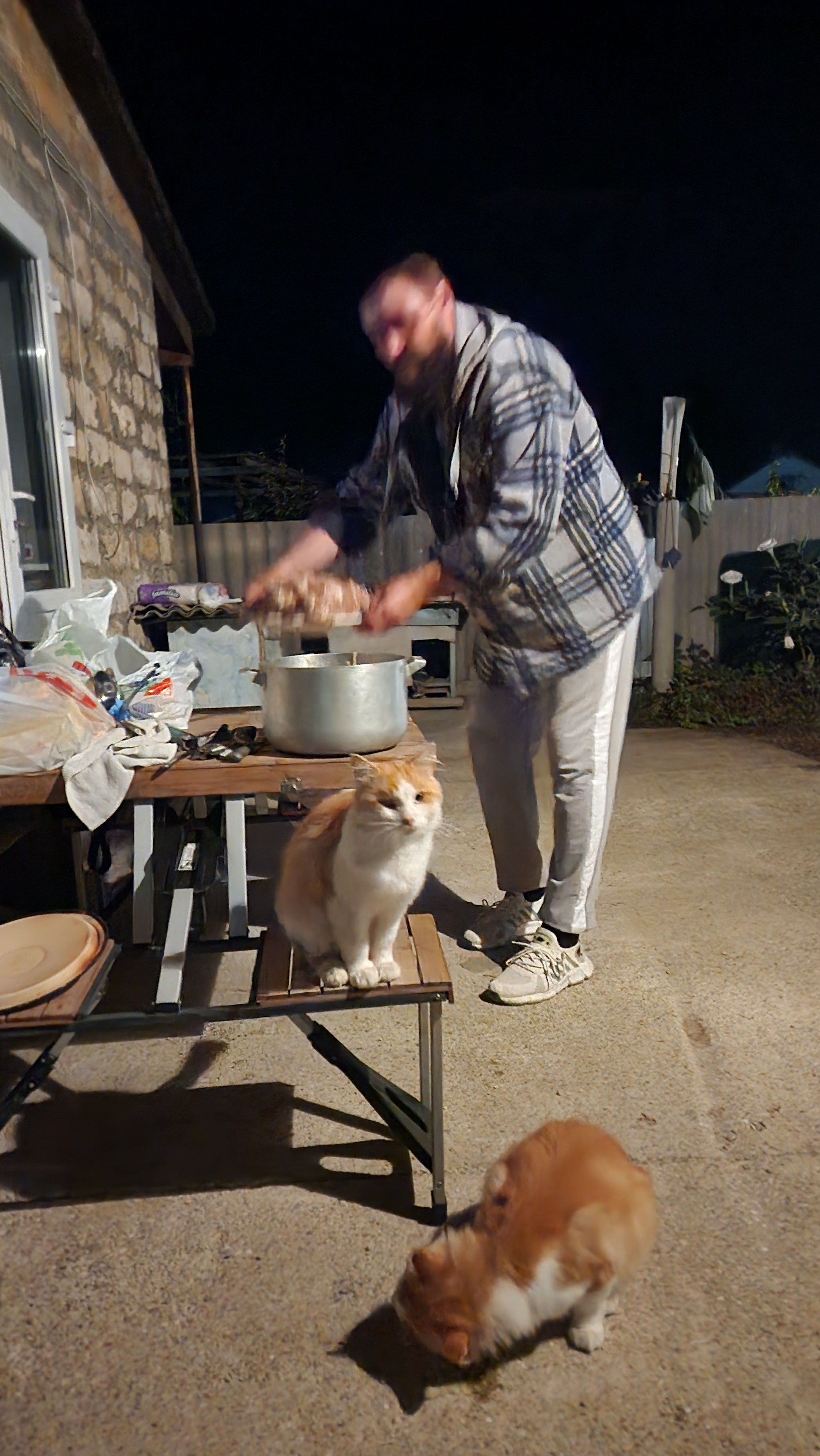 Приморское и Феодосия (2024-09-24). Собор Отрасли