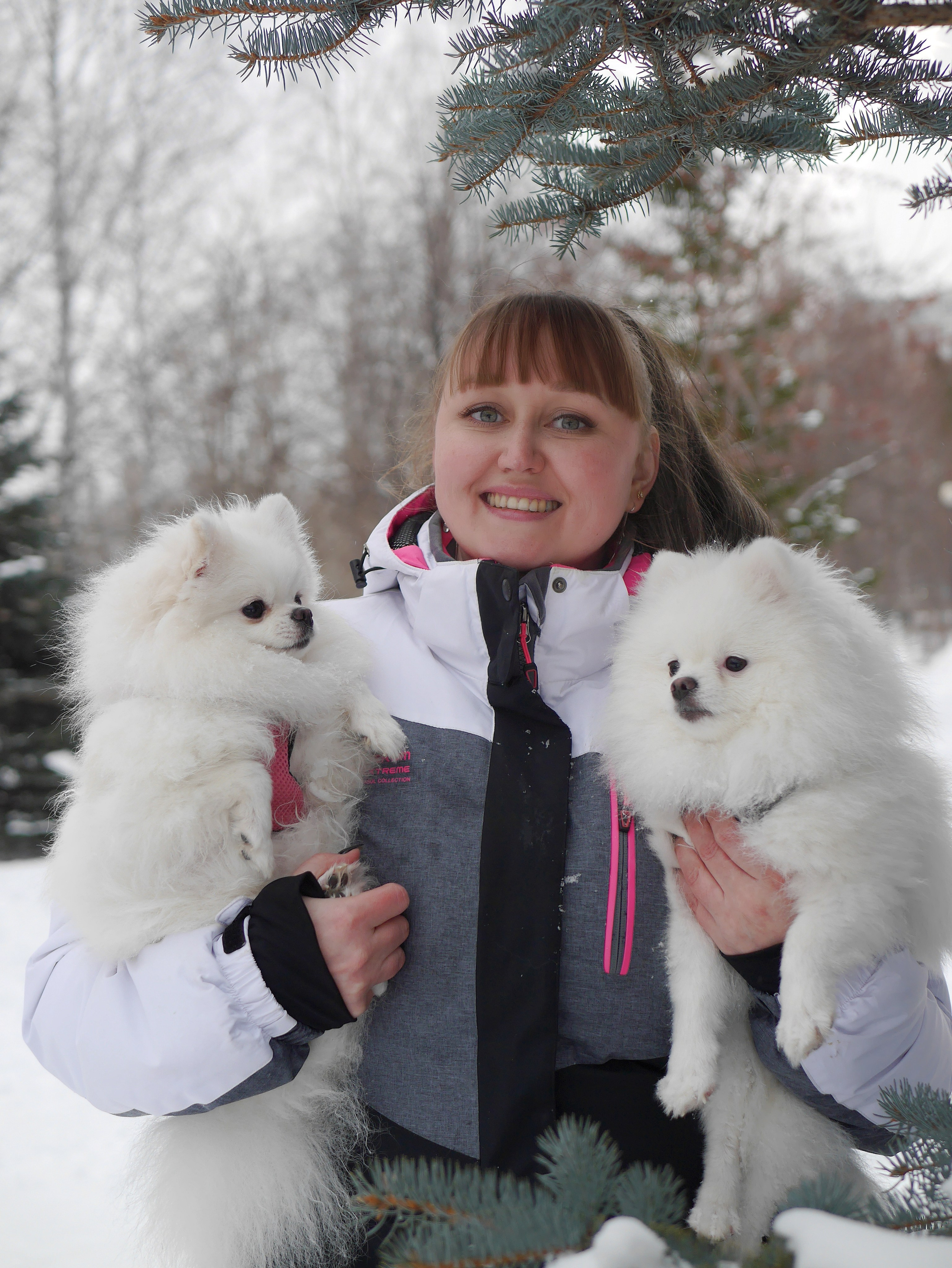 Надежда и шпицы