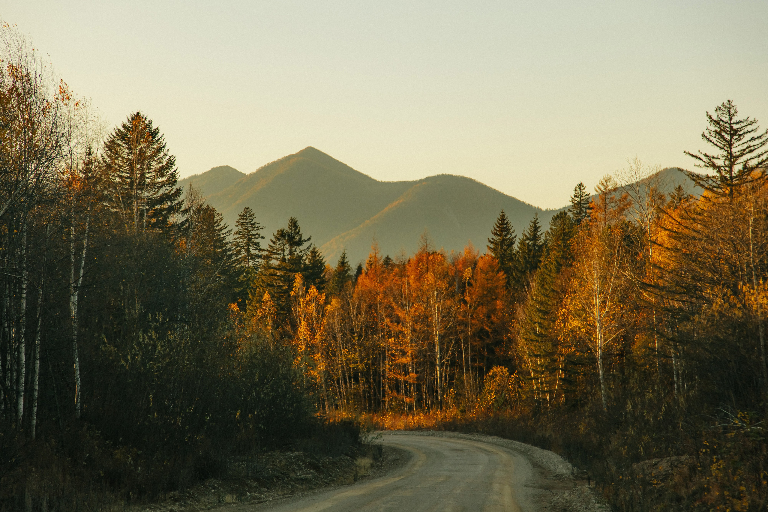 Пока не застроили. Evgeniya Kokurina