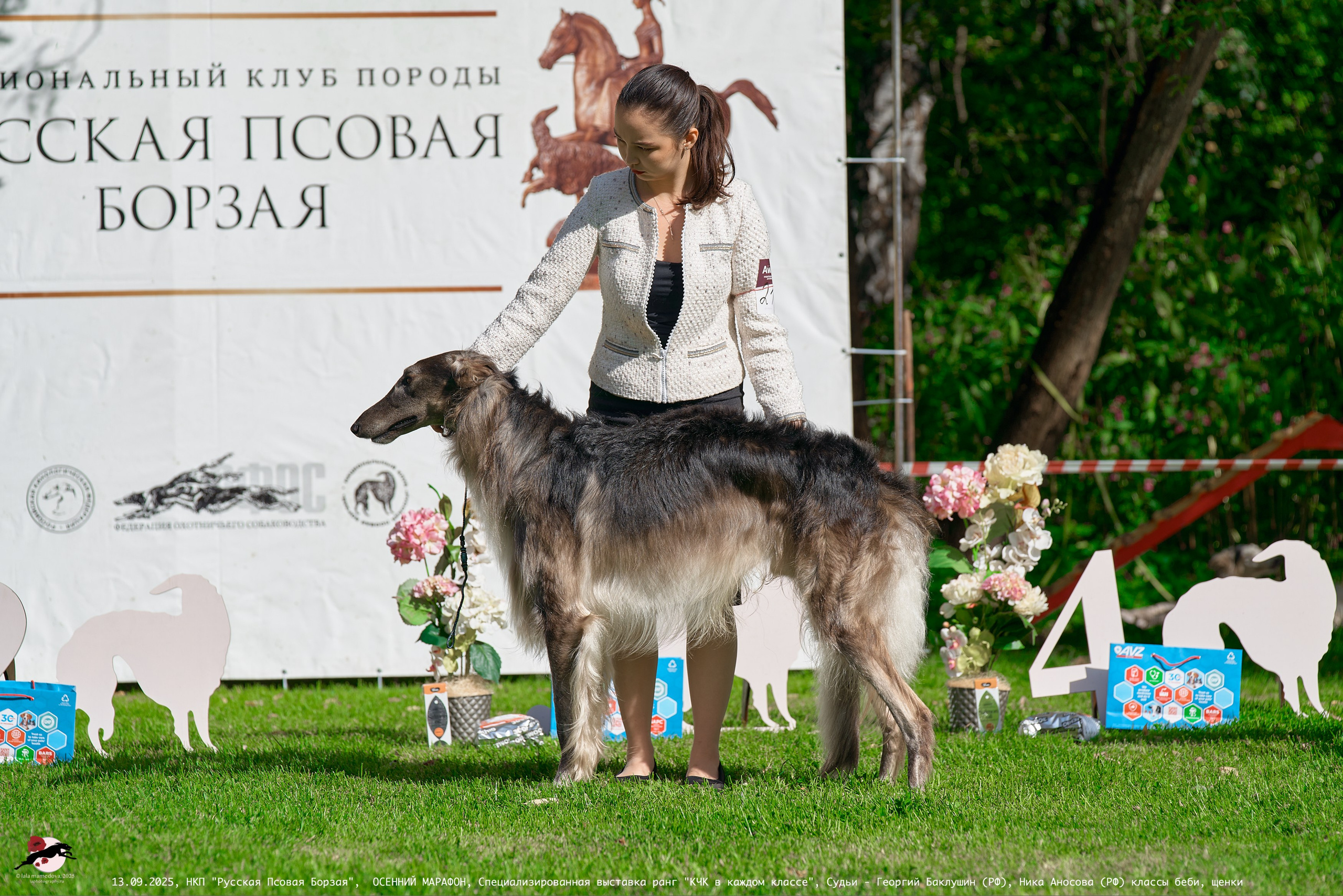 ОСЕННИЙ МАРАФОН | Специализированная выставка породы Русская Псовая Борзая ранг "КЧК в каждом классе"