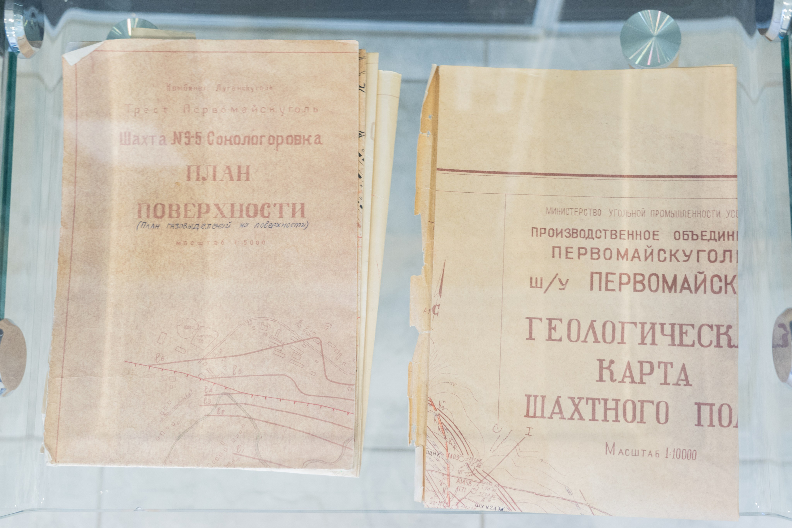 У края ковыльных степей. Ангелина Богданова, междисциплинарная художница