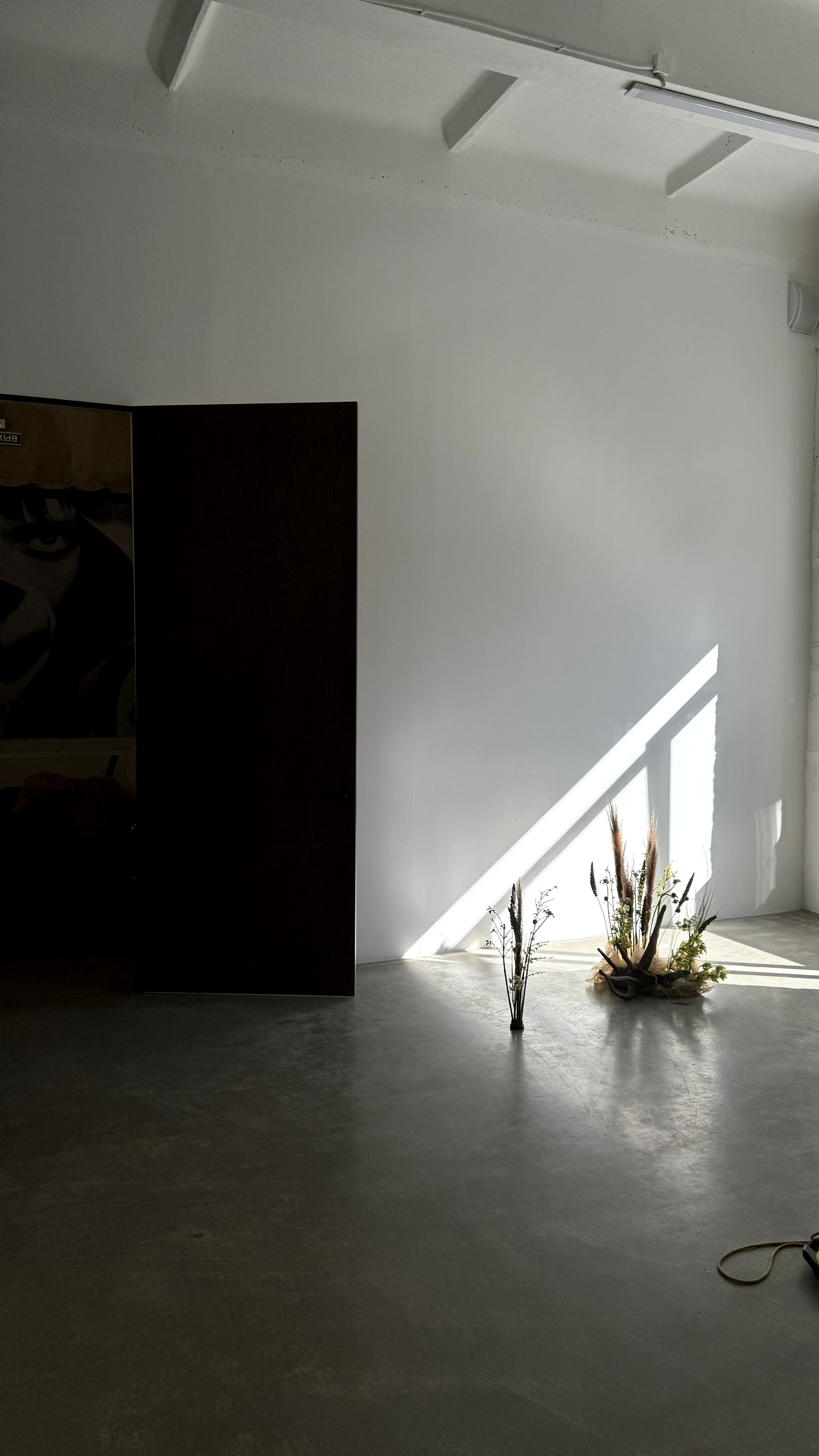 Солнце. F1STUDIO