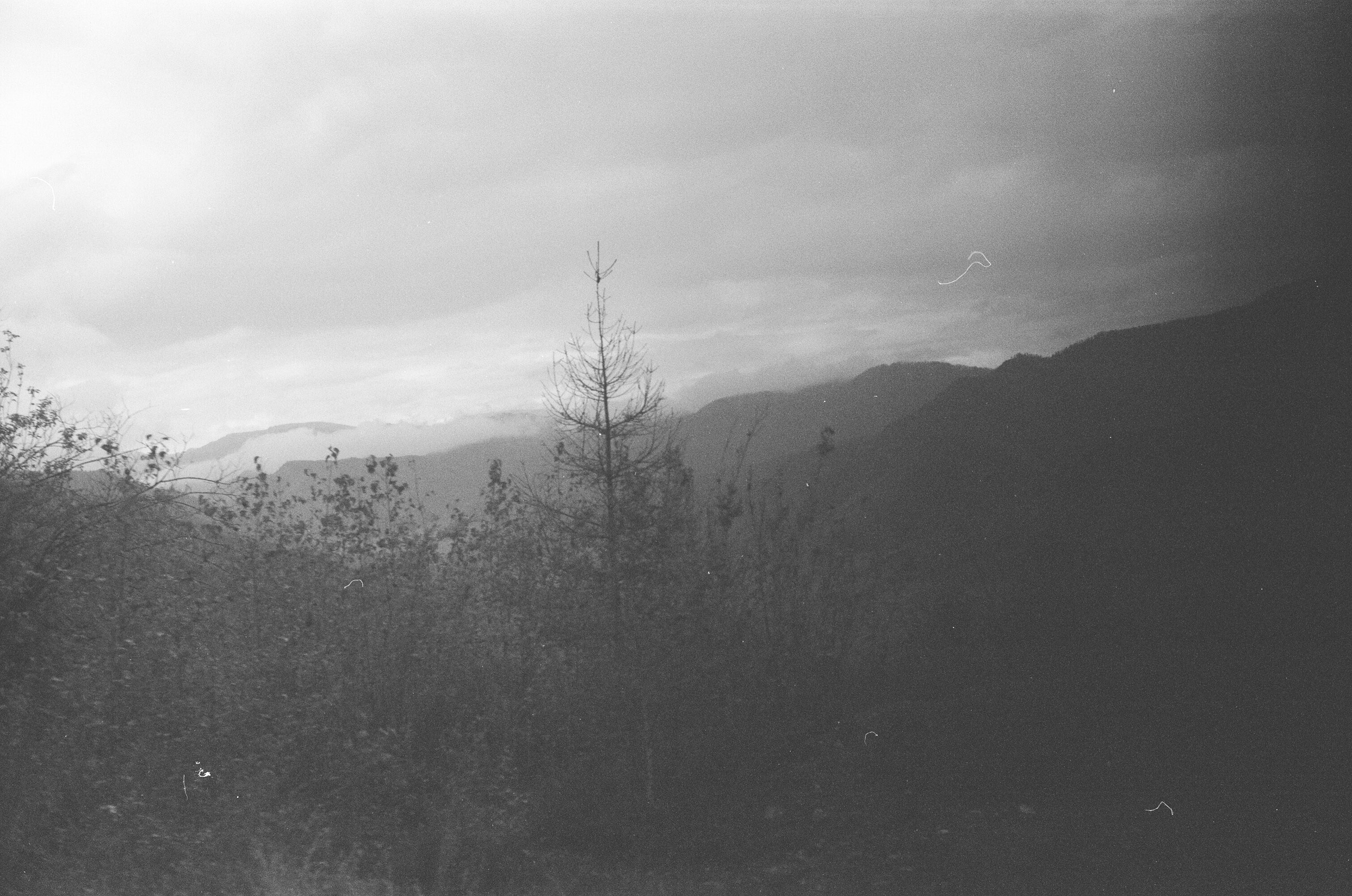 Altai \ august 2022 \ film. Коммерческий Фотограф Виктор Фоменых