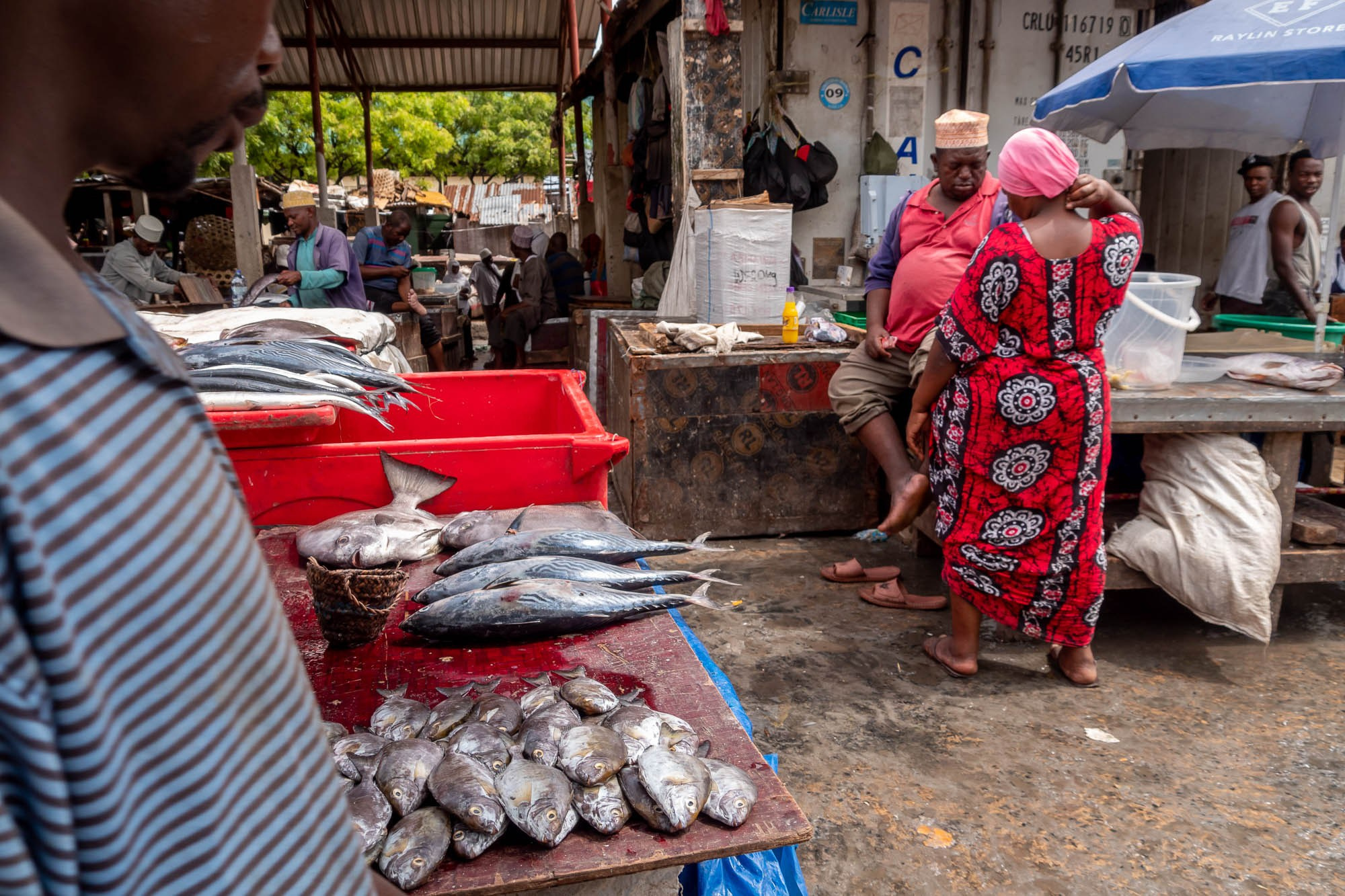 Танзания, Дар эс Салам. Tanzania, Dar es Salaam. Фотограф Алексей Скоробогатько