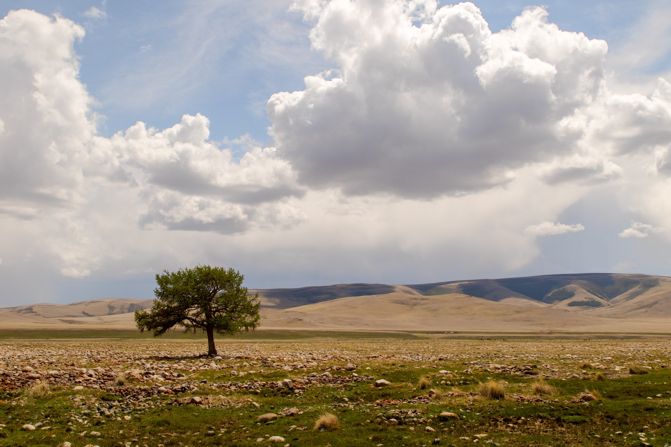 Горный Алтай. Фотограф Кирилл Мешков Кемерово