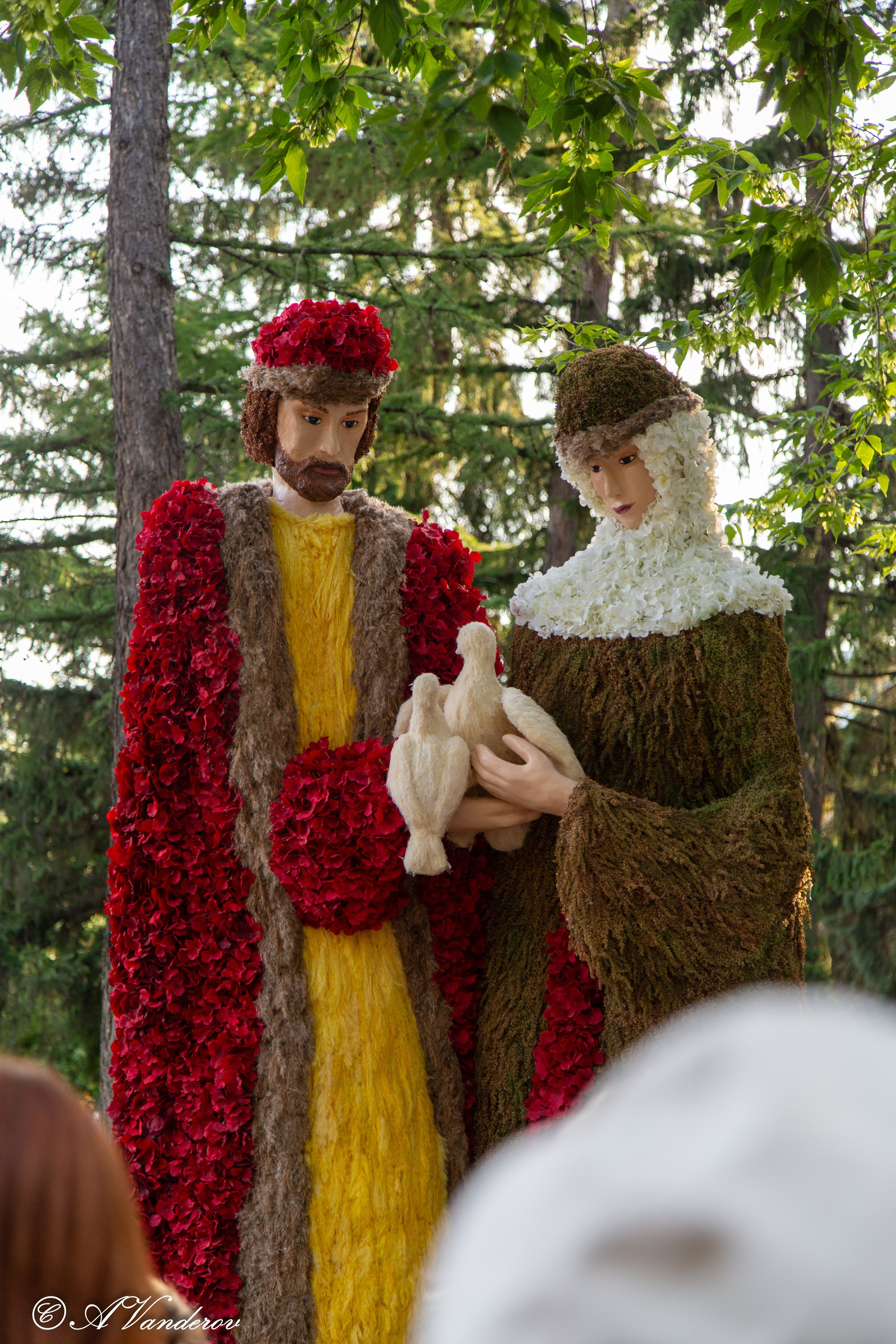 День города 03.08.2024. Фотограф Омск | Александр Вандеров