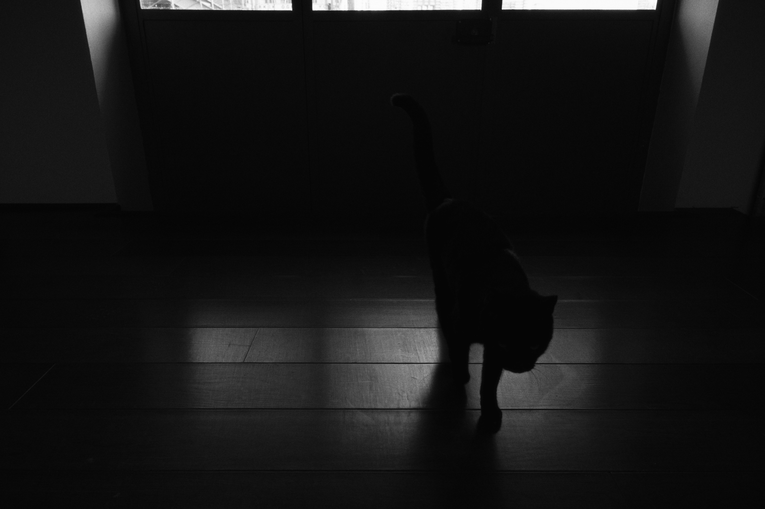 Gazhane Museum / Istanbul, Türkey AW26. Фотограф Юрин Евгений